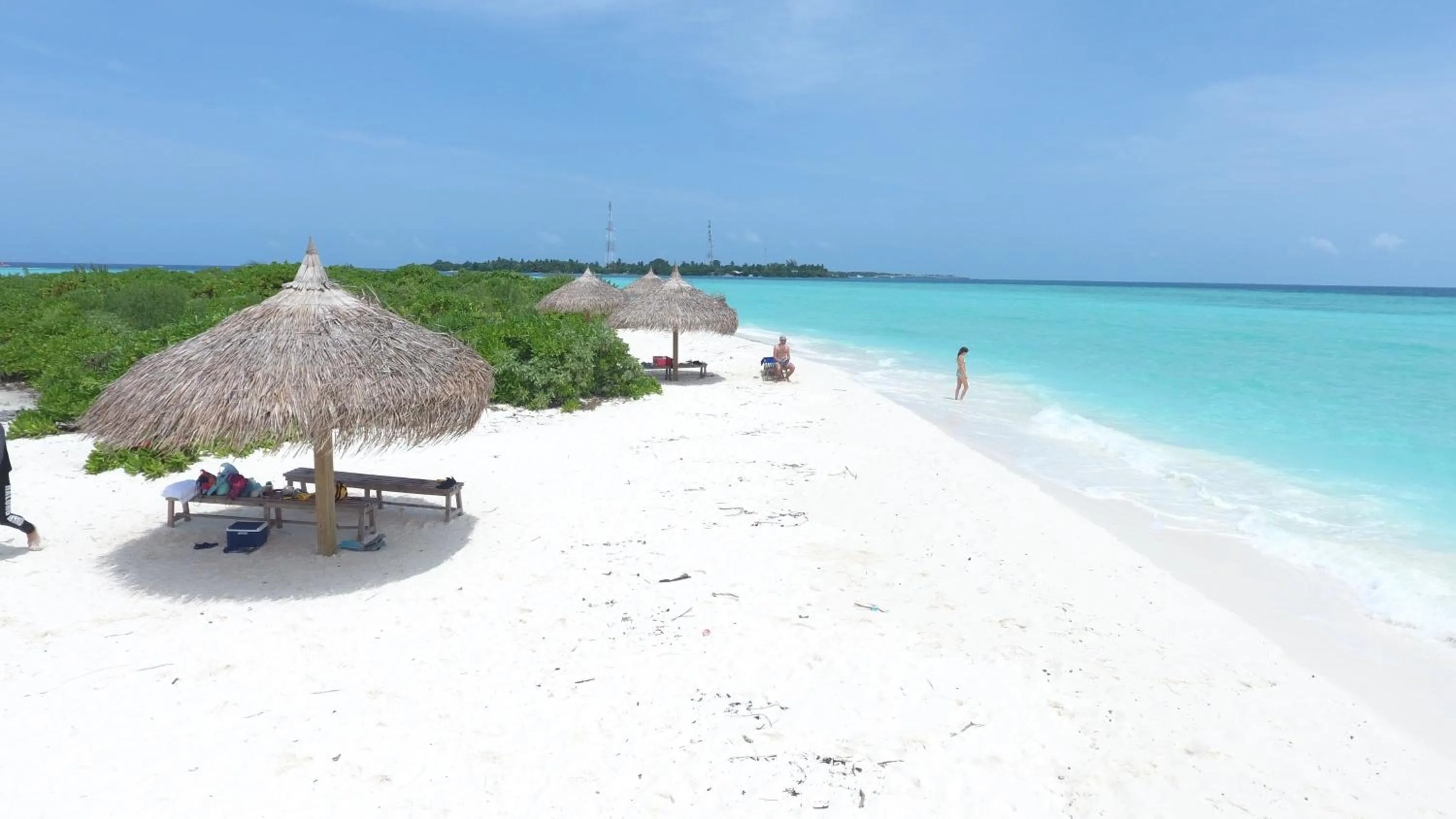 Natural landscape in Palm Residence