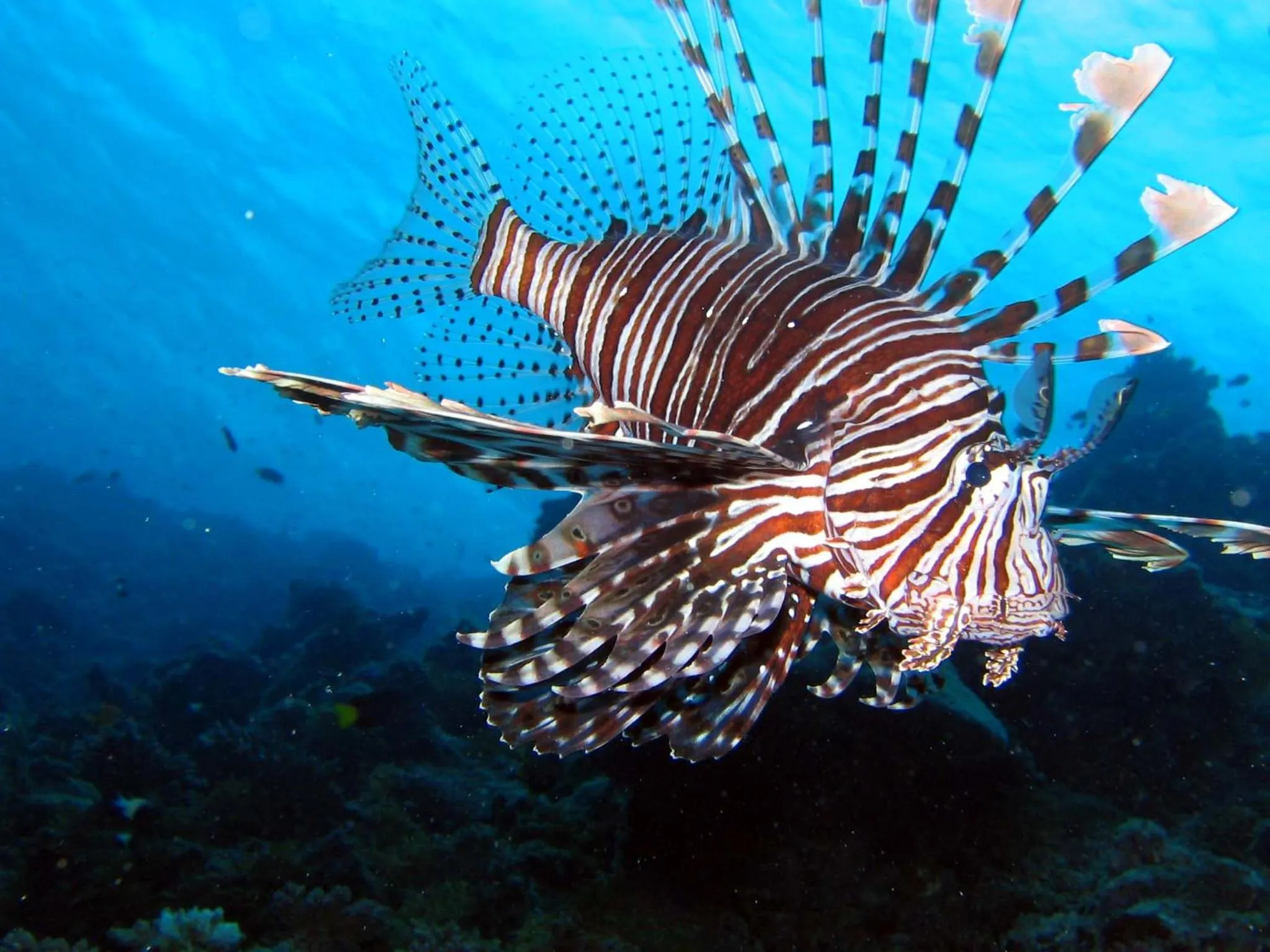 Activities in Palm Residence