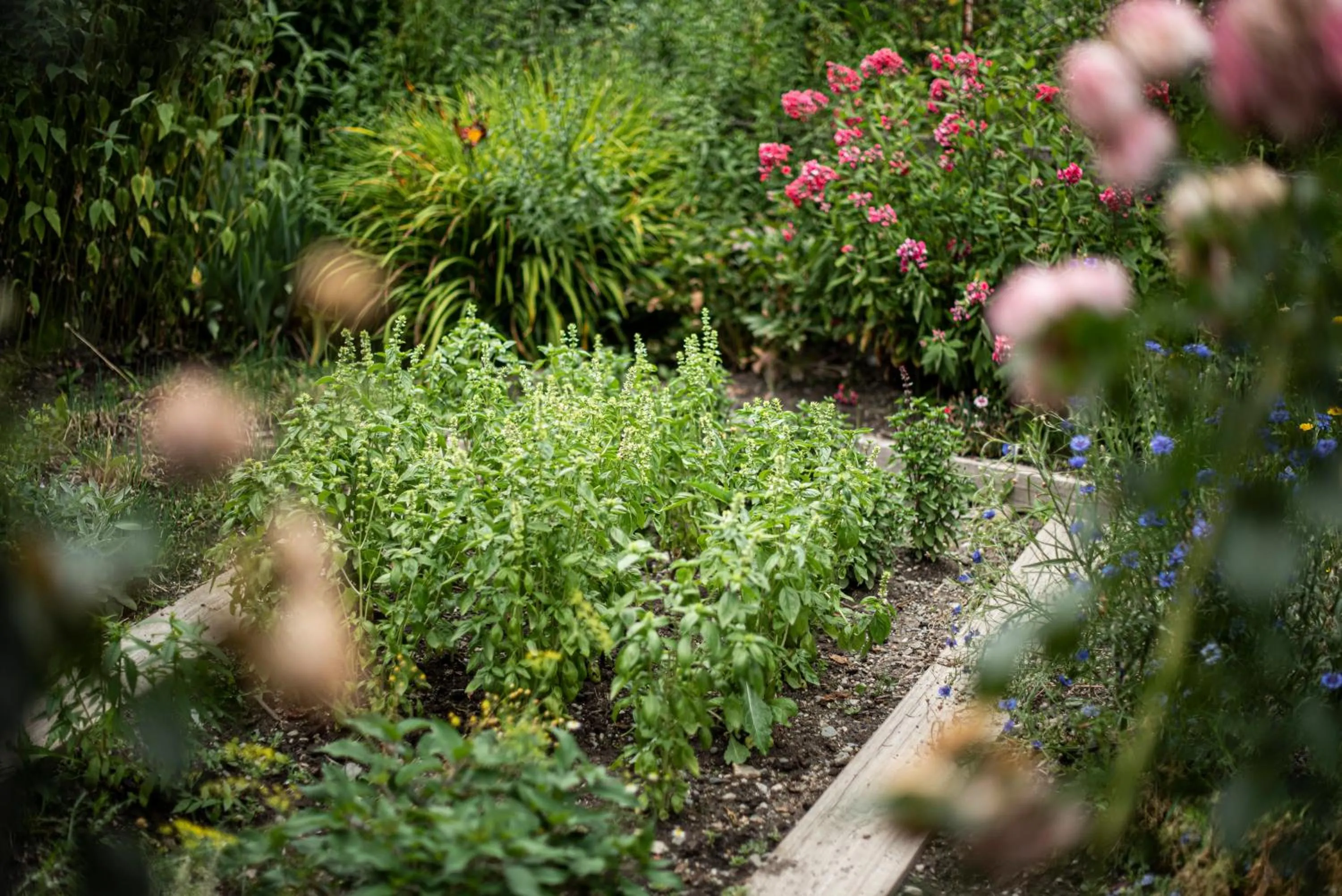 Garden in Taubers Unterwirt Aktiv & Vitalhotel