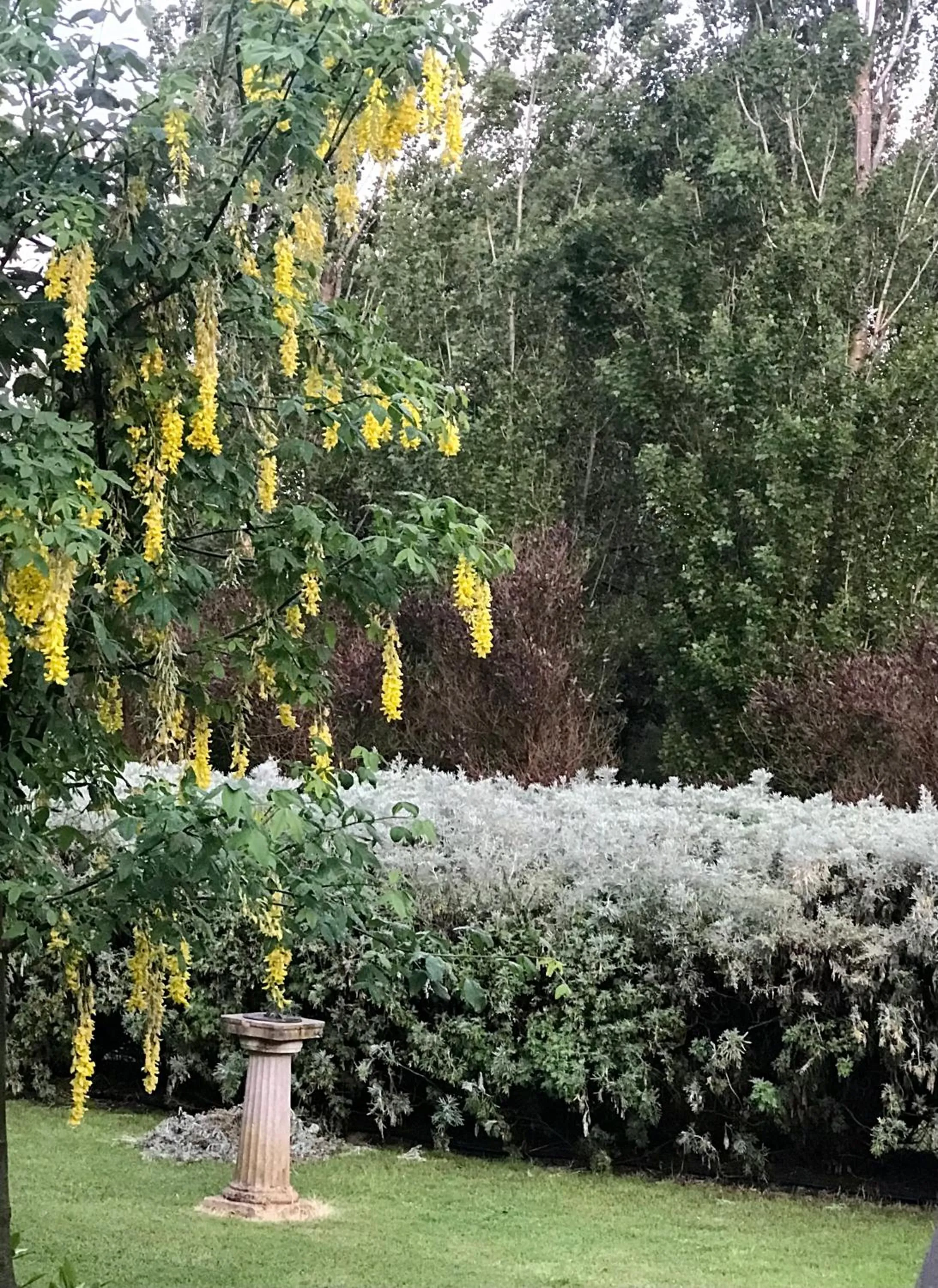 Spring in Pierrepoint Accommodation