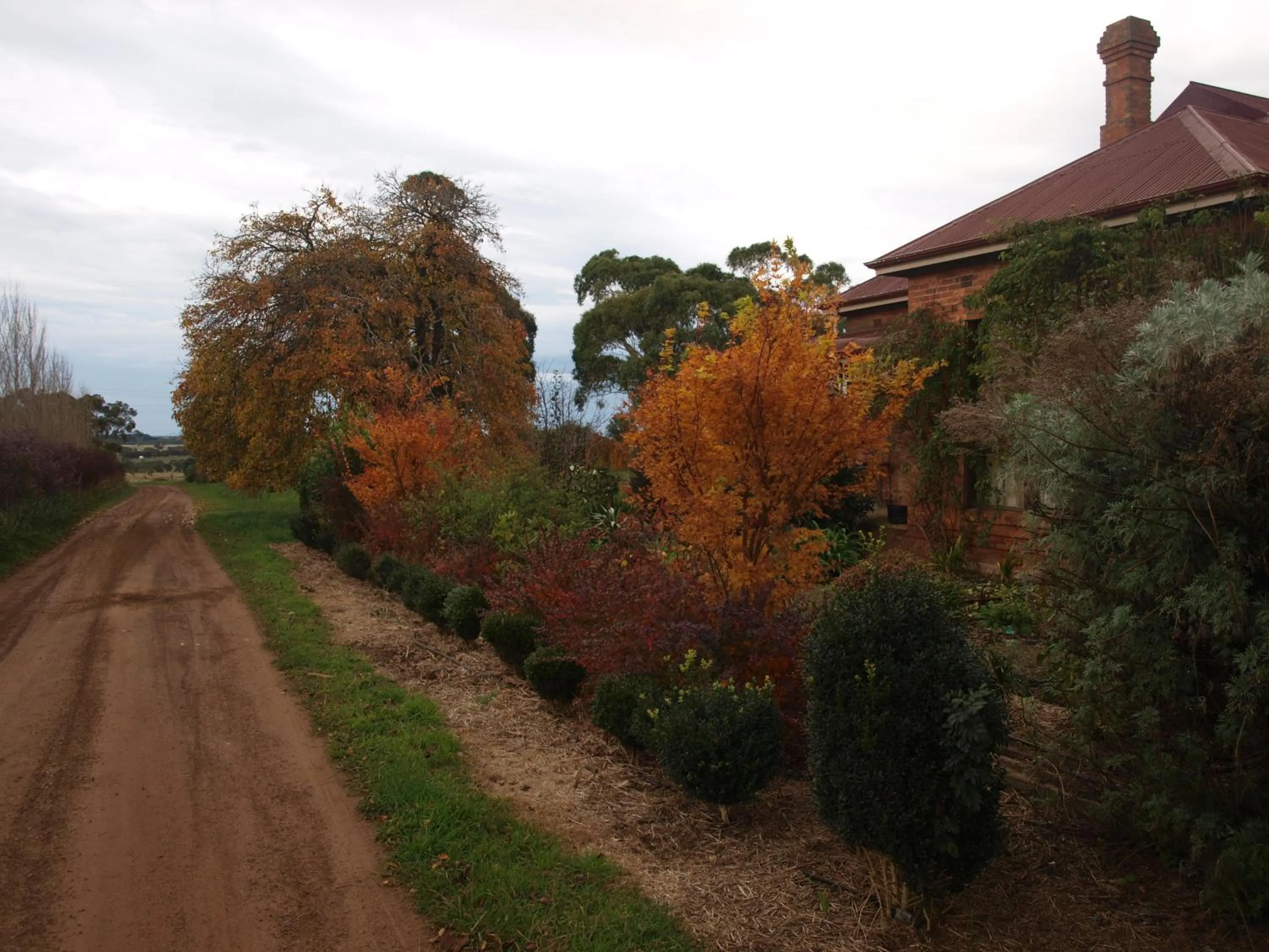 Garden in Pierrepoint Accommodation