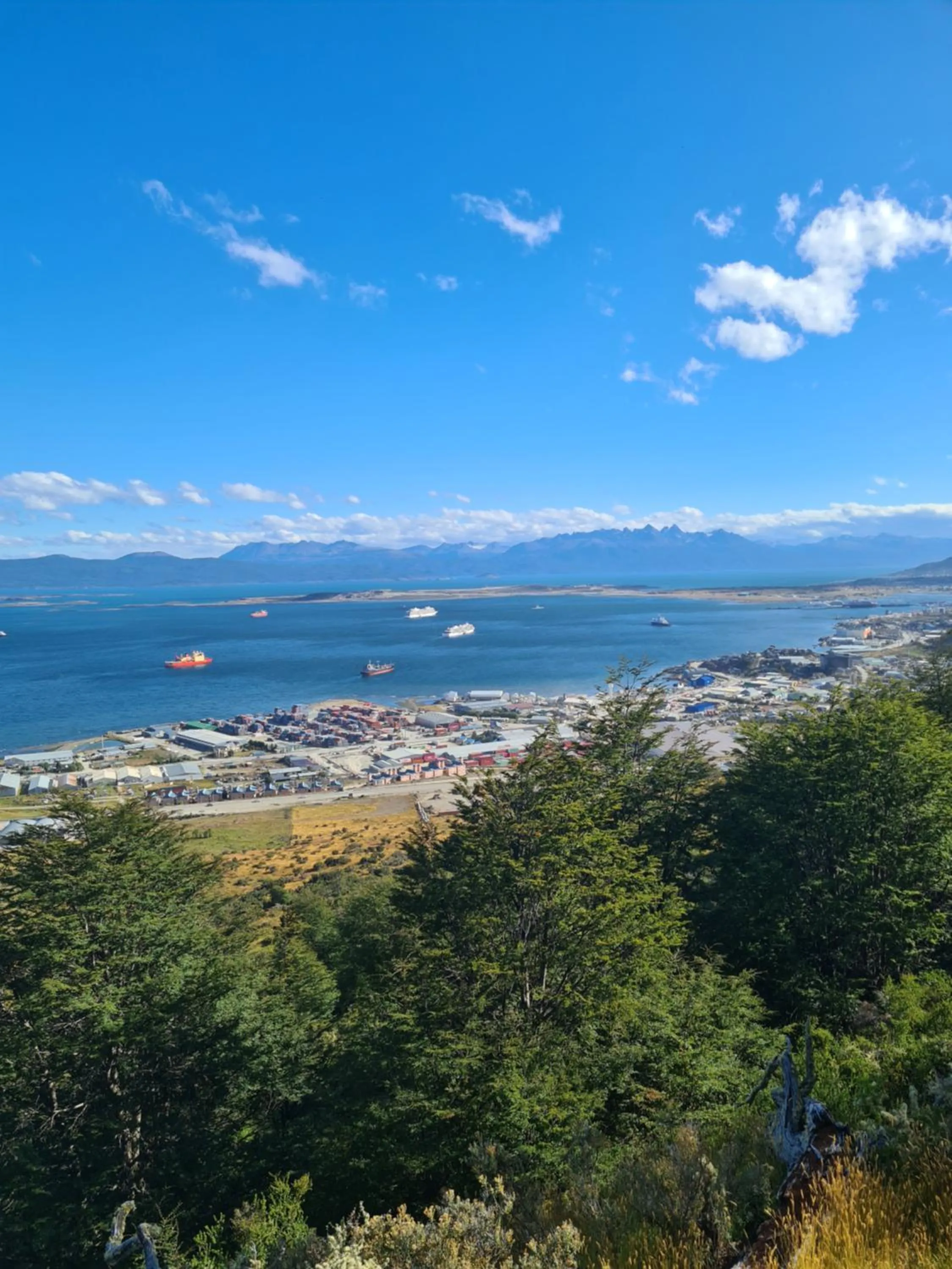 Natural landscape in Hotel Tierra del Fuego