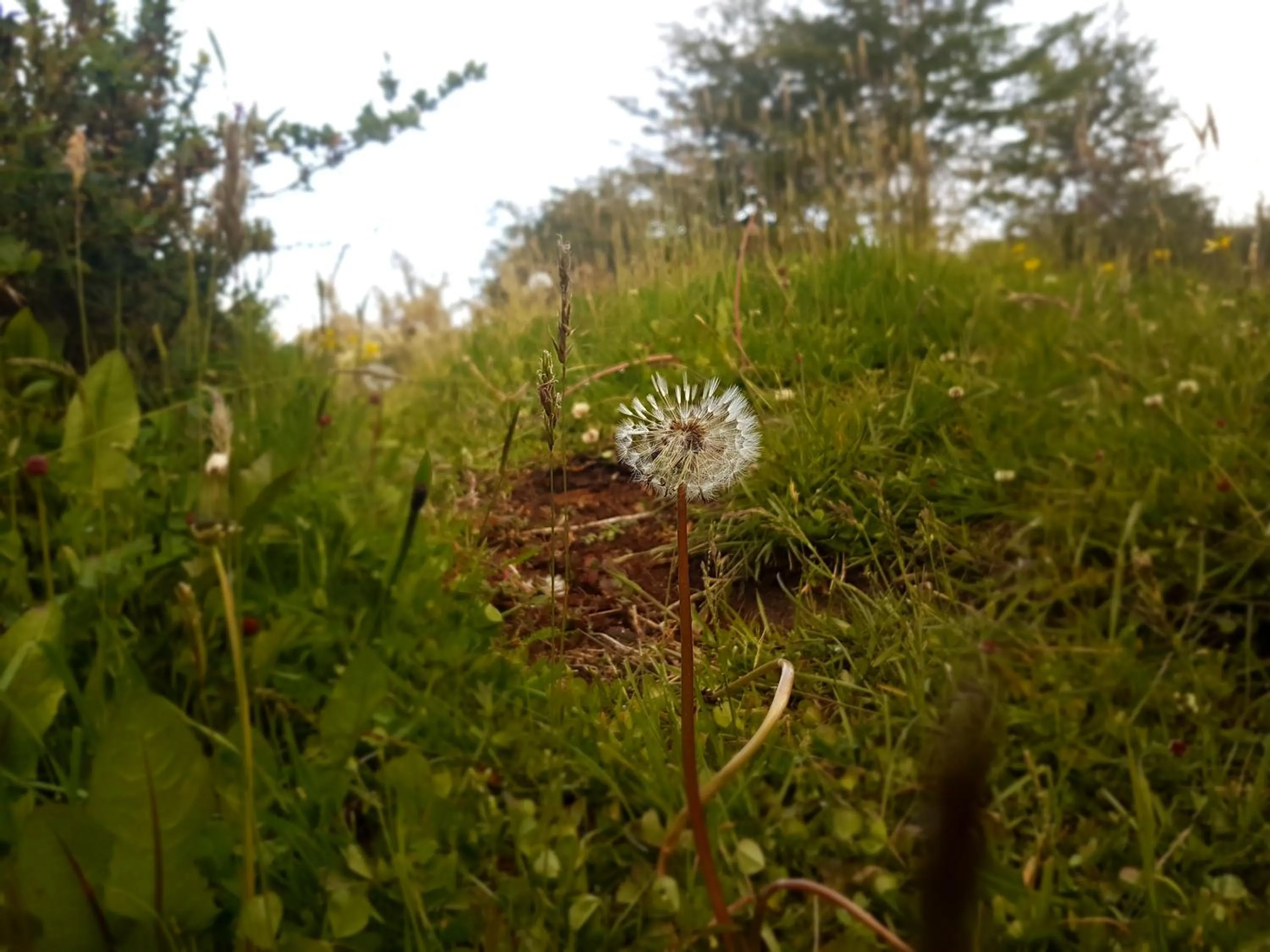 Natural landscape in Hotel Tierra del Fuego