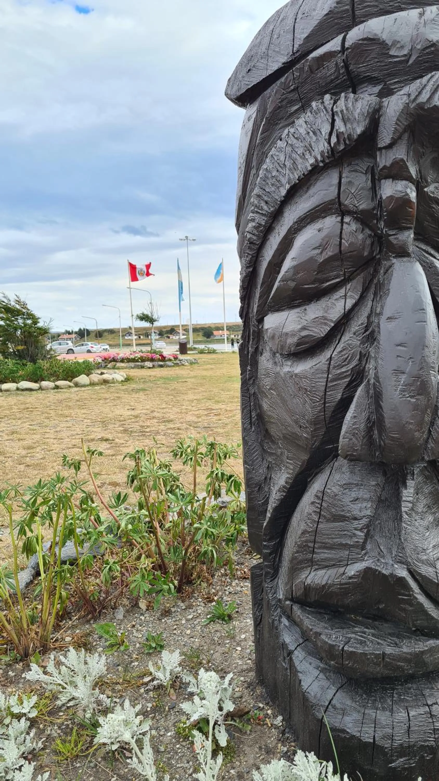 Natural landscape in Hotel Tierra del Fuego