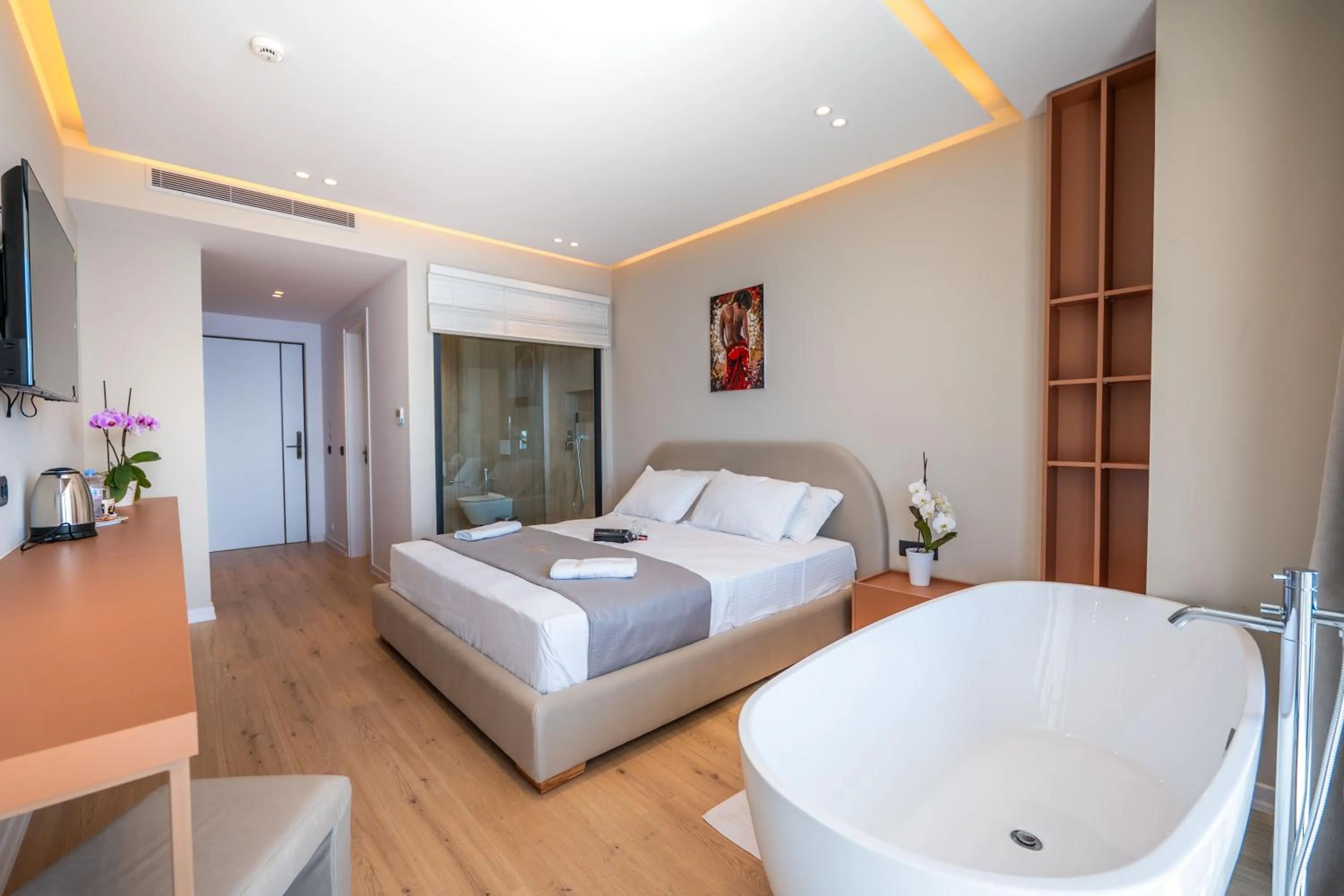 TV and multimedia in Jako Premium Hotel