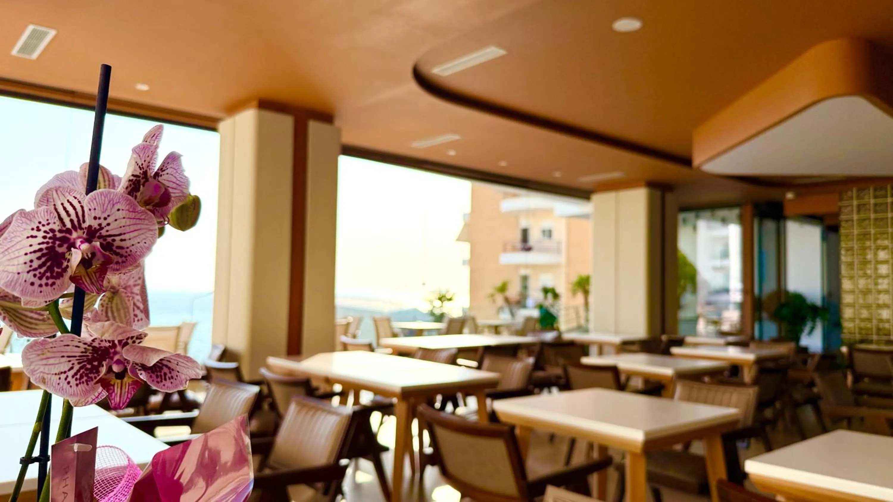 Restaurant/places to eat in Jako Premium Hotel