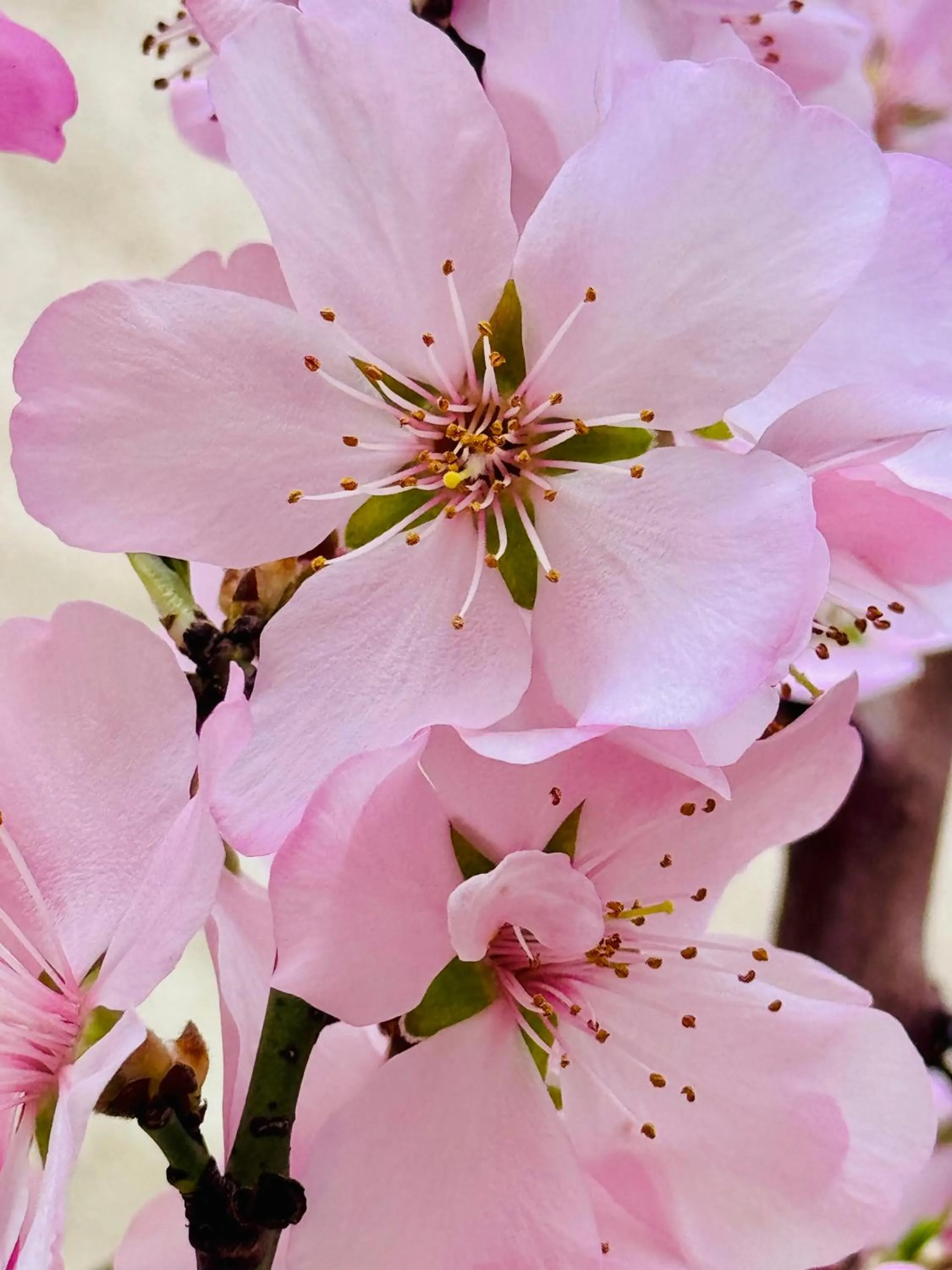 B&B Corte sul Naviglio CIN I T 0 1 5 0 7 0 C 1 3 X U I L Q C V