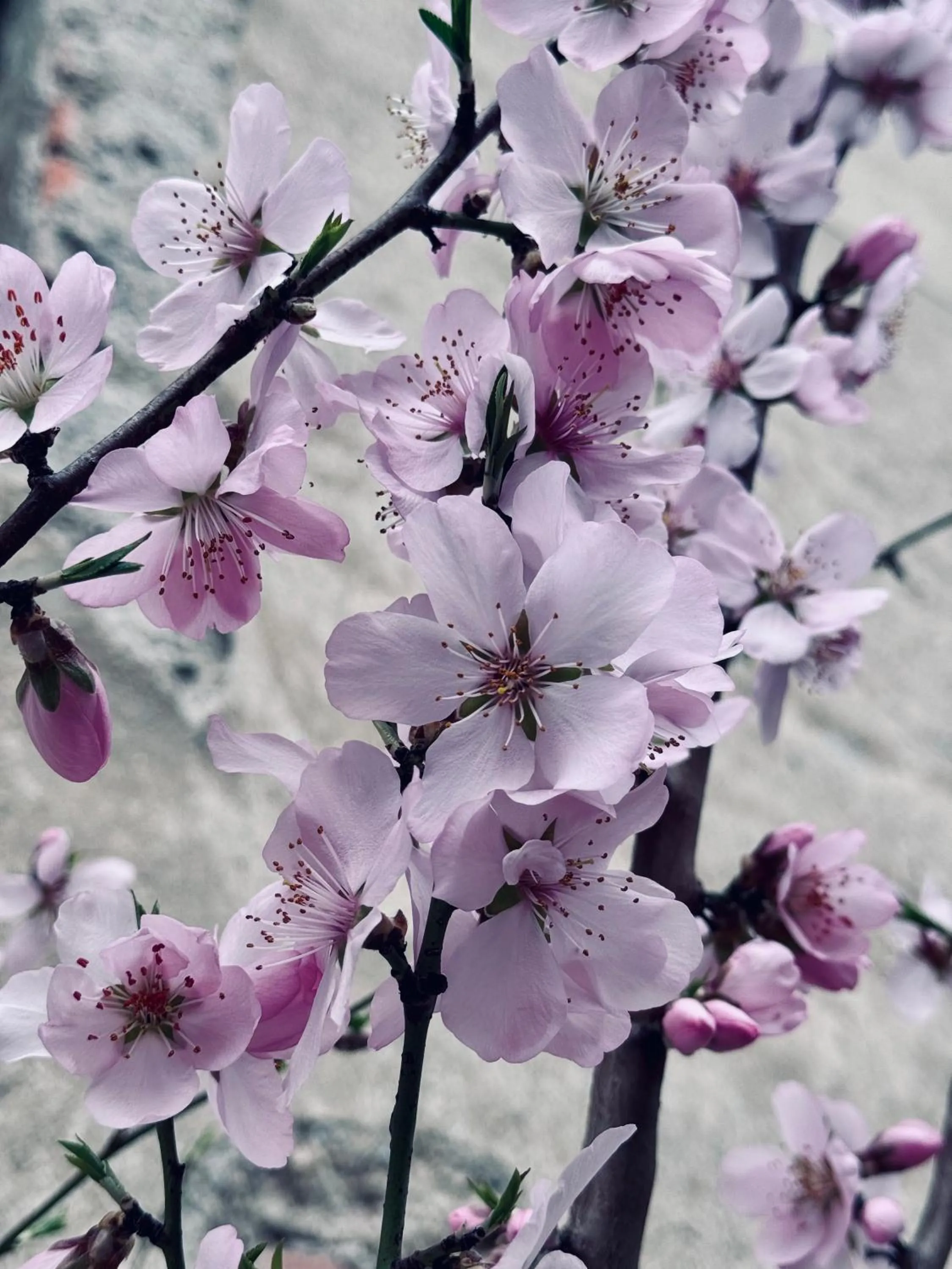 B&B Corte sul Naviglio CIN I T 0 1 5 0 7 0 C 1 3 X U I L Q C V