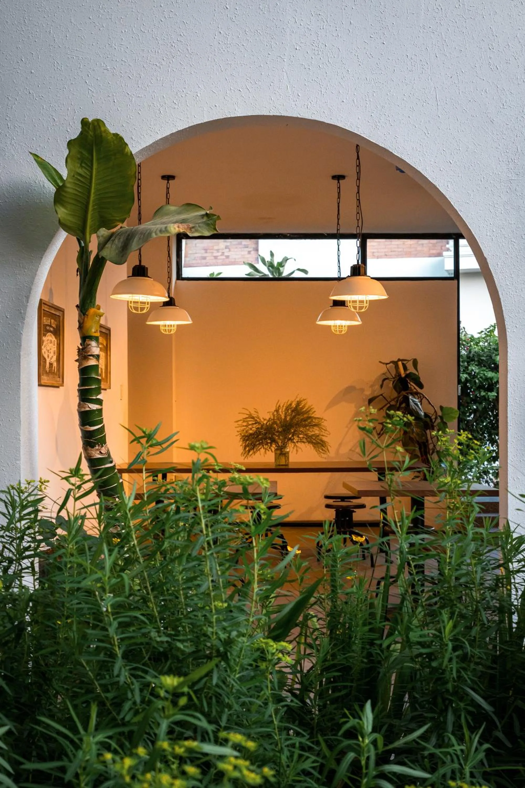 Garden view in D'Mai Xanh Boutique Hotel Da Lat