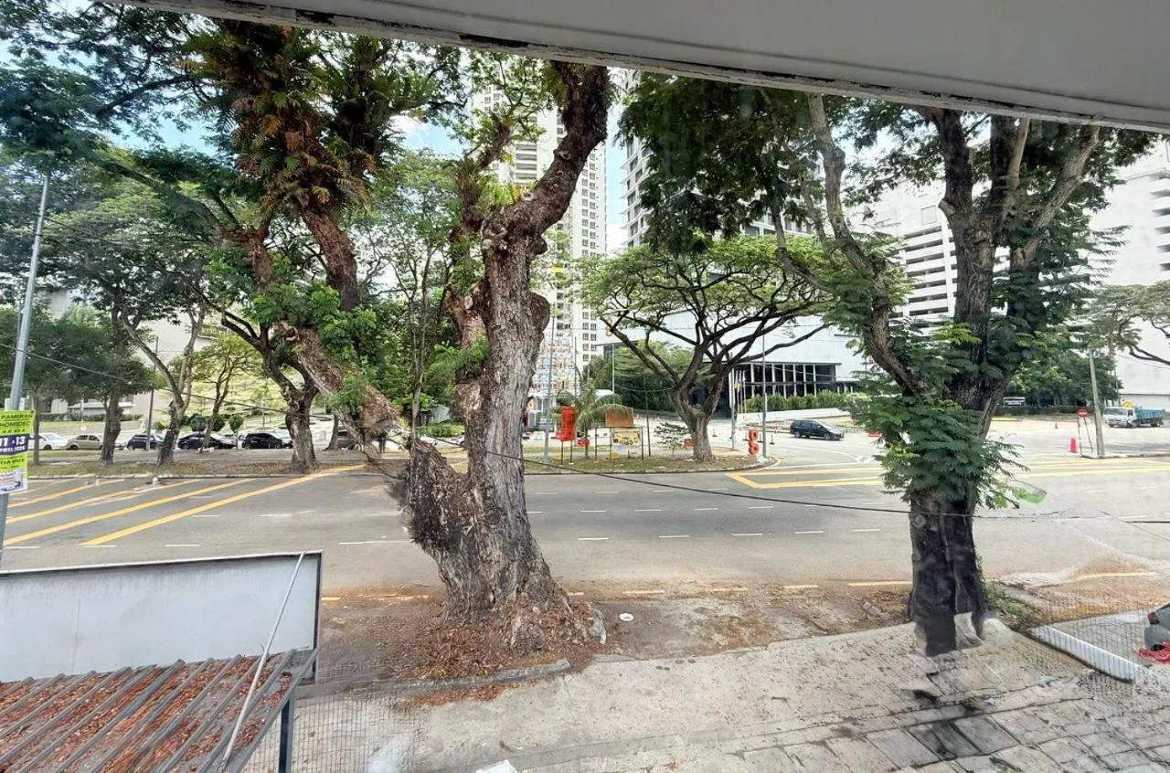 Day in TwinTree Kelawai