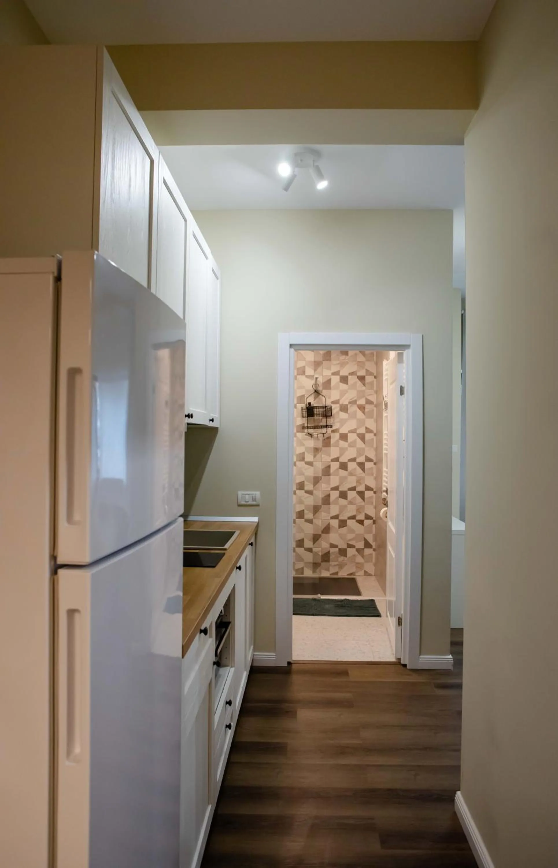 Landmark view in Little Bucharest downtown apartments Romana