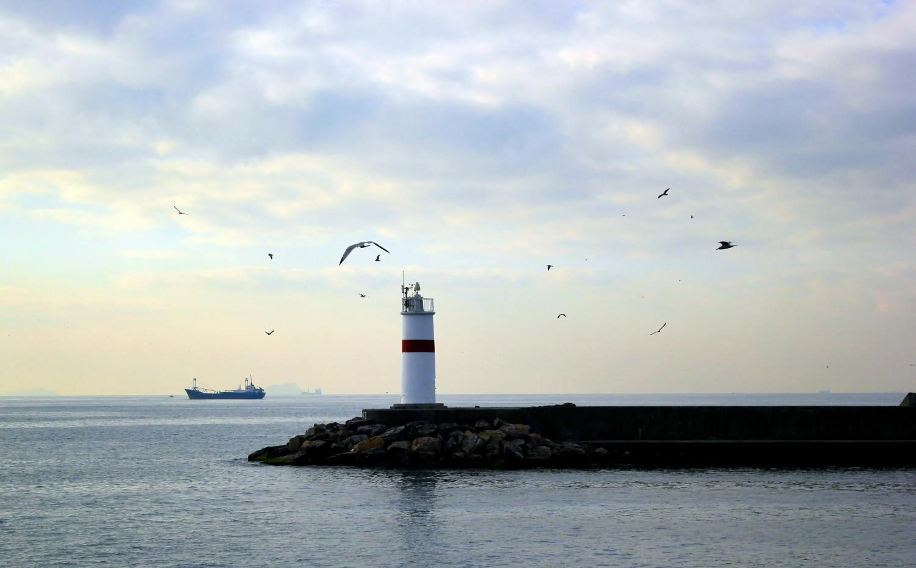 Area and facilities in Arden City Hotel-Special Category