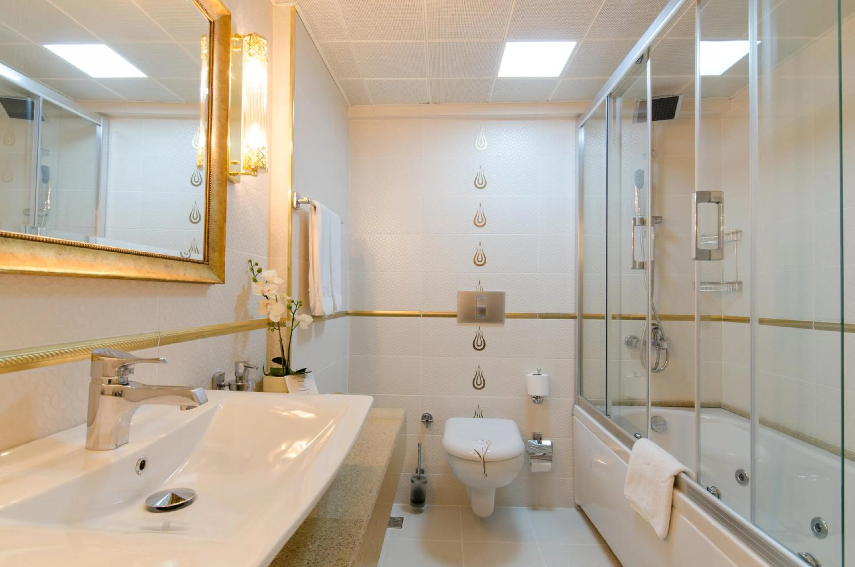 Bathroom in Arden City Hotel-Special Category