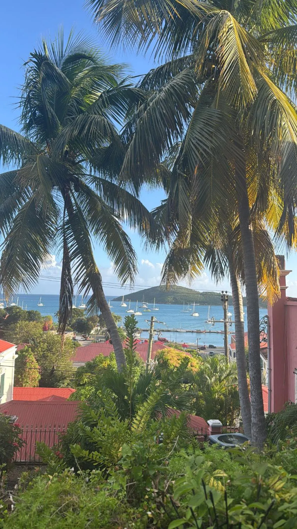 Garden view in Hotel 1829