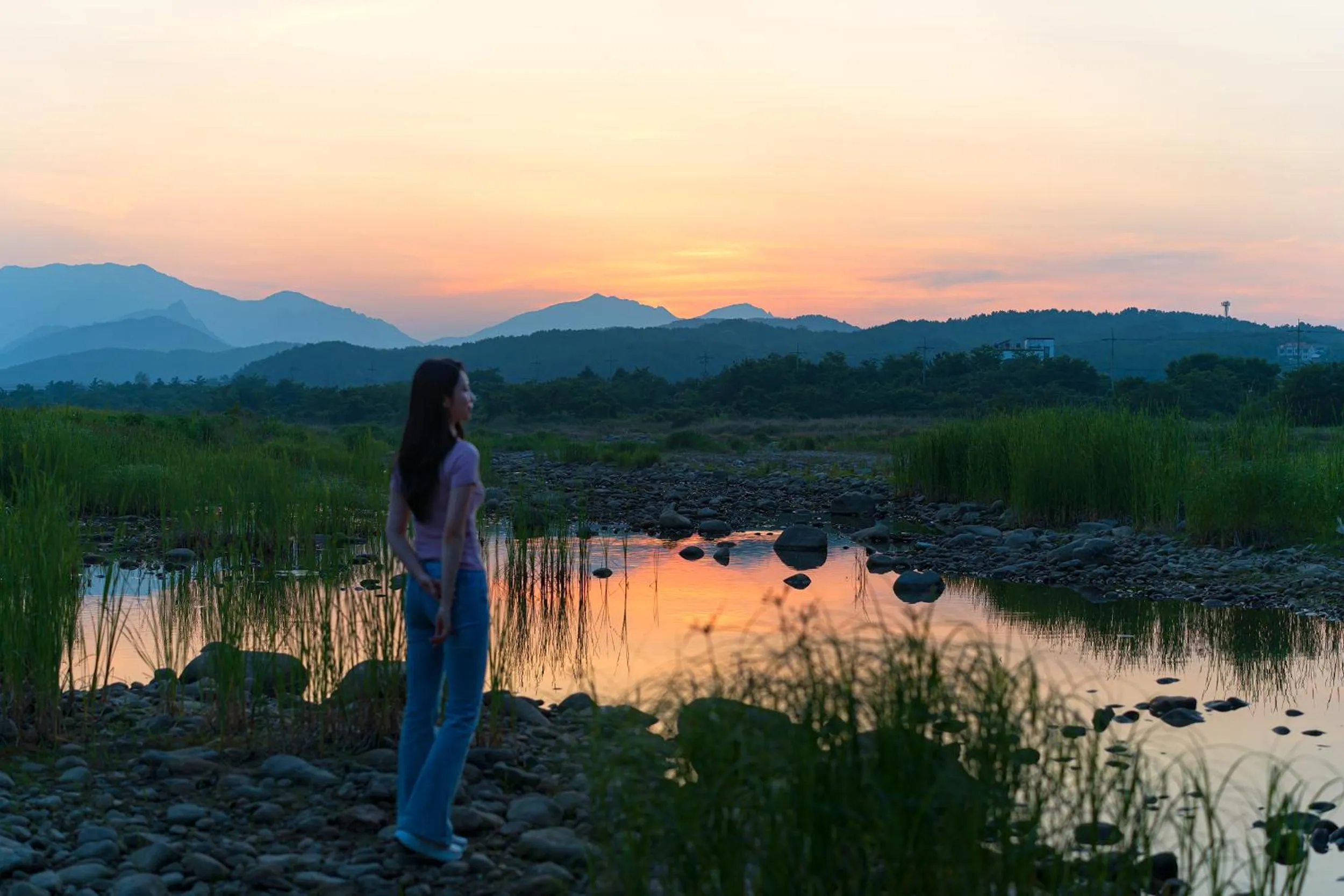 Garden in DIAMER Hotel Sokcho by AankStay