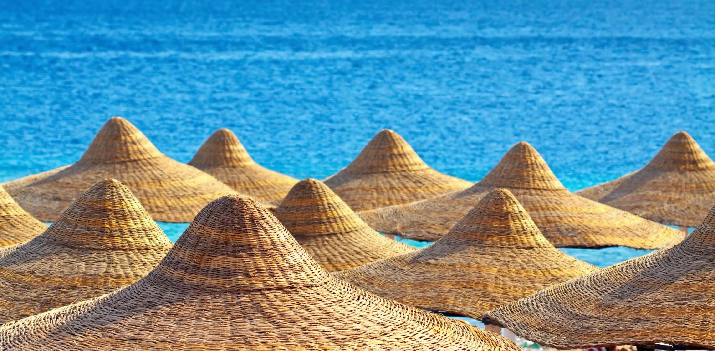 Day in Hotel Scandinavia