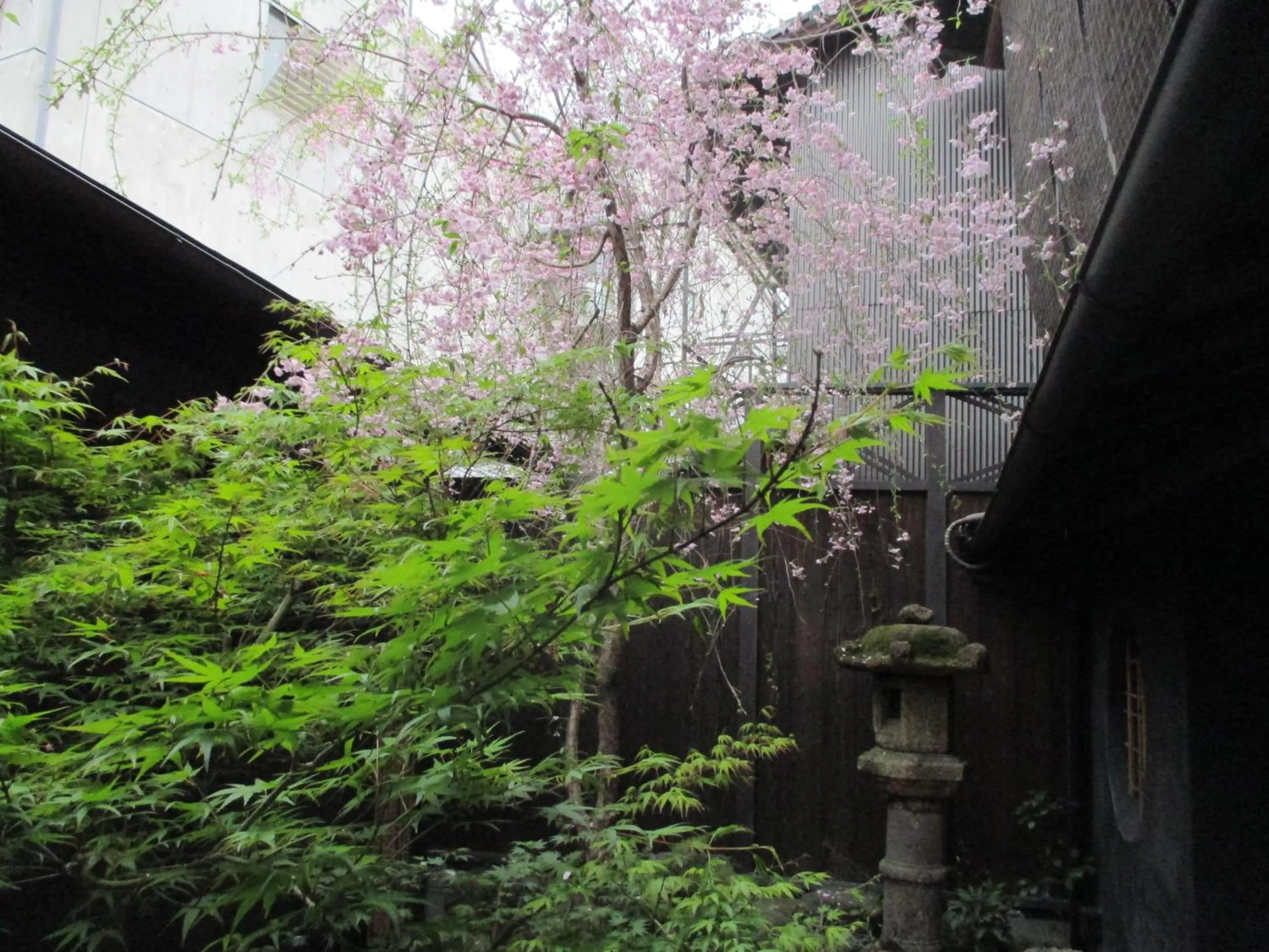 Garden in Takeya Kitano Honkan