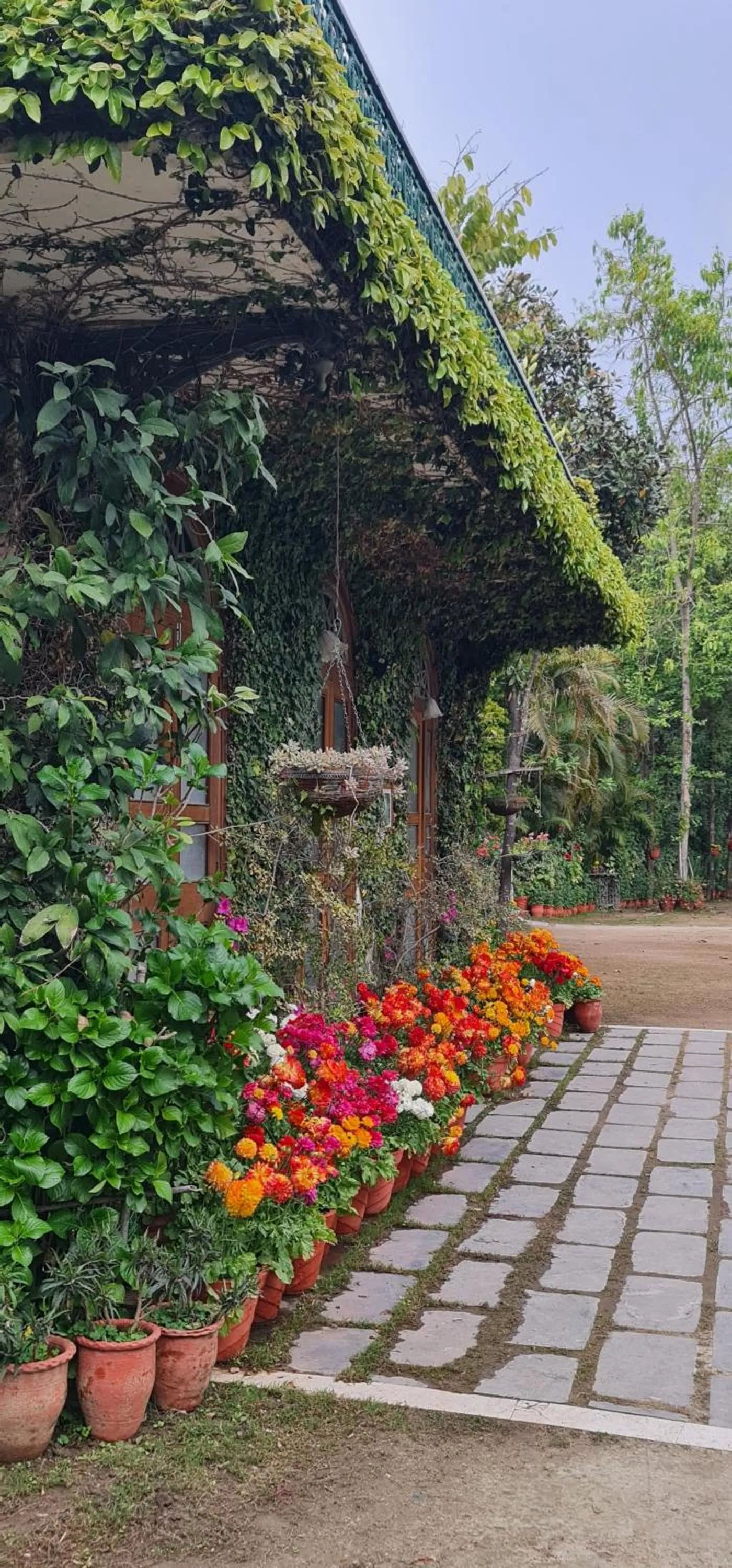 Shaheen Bagh - A Luxury Boutique Resort & Spa