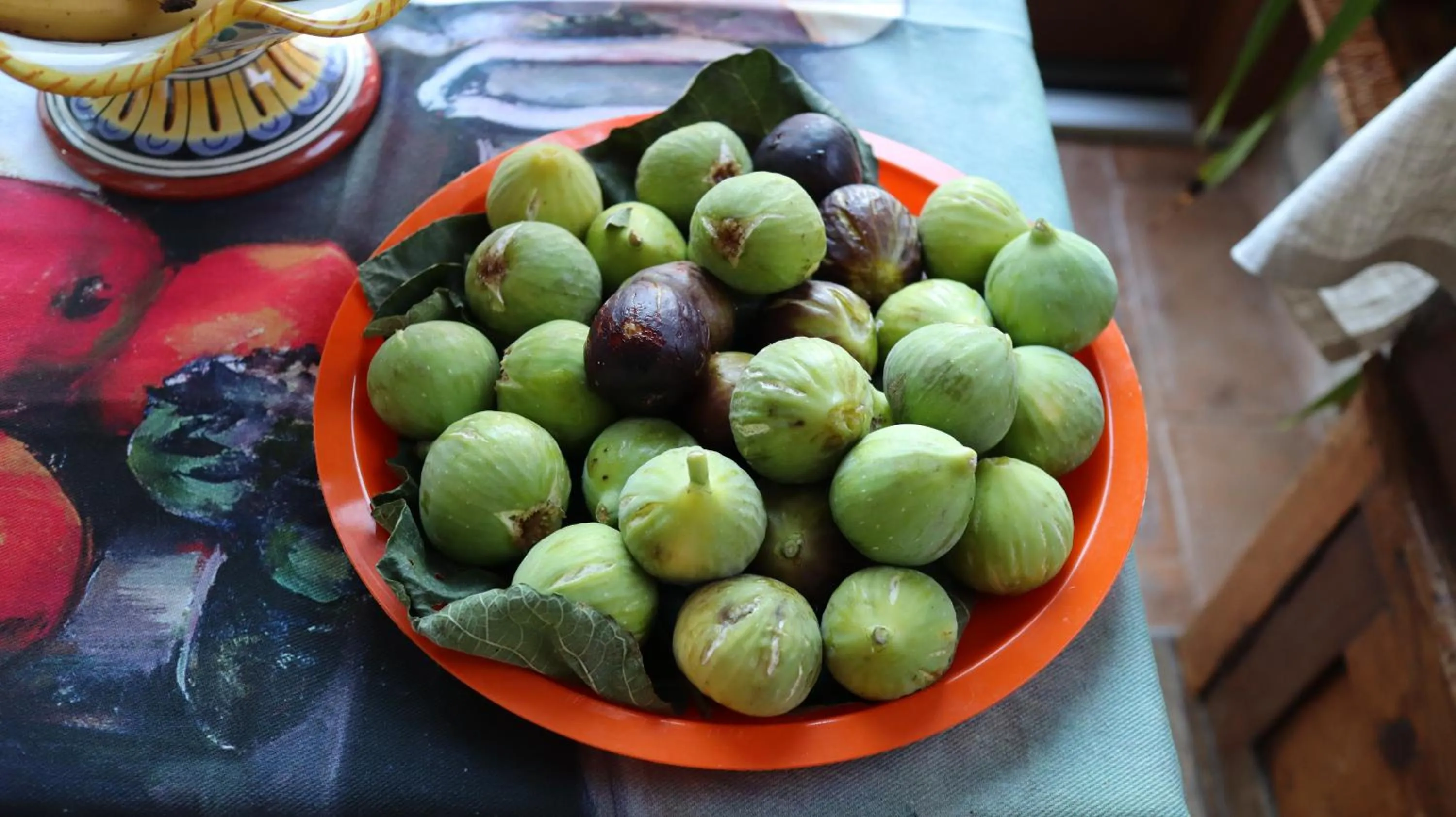 Food close-up in Villa Clara
