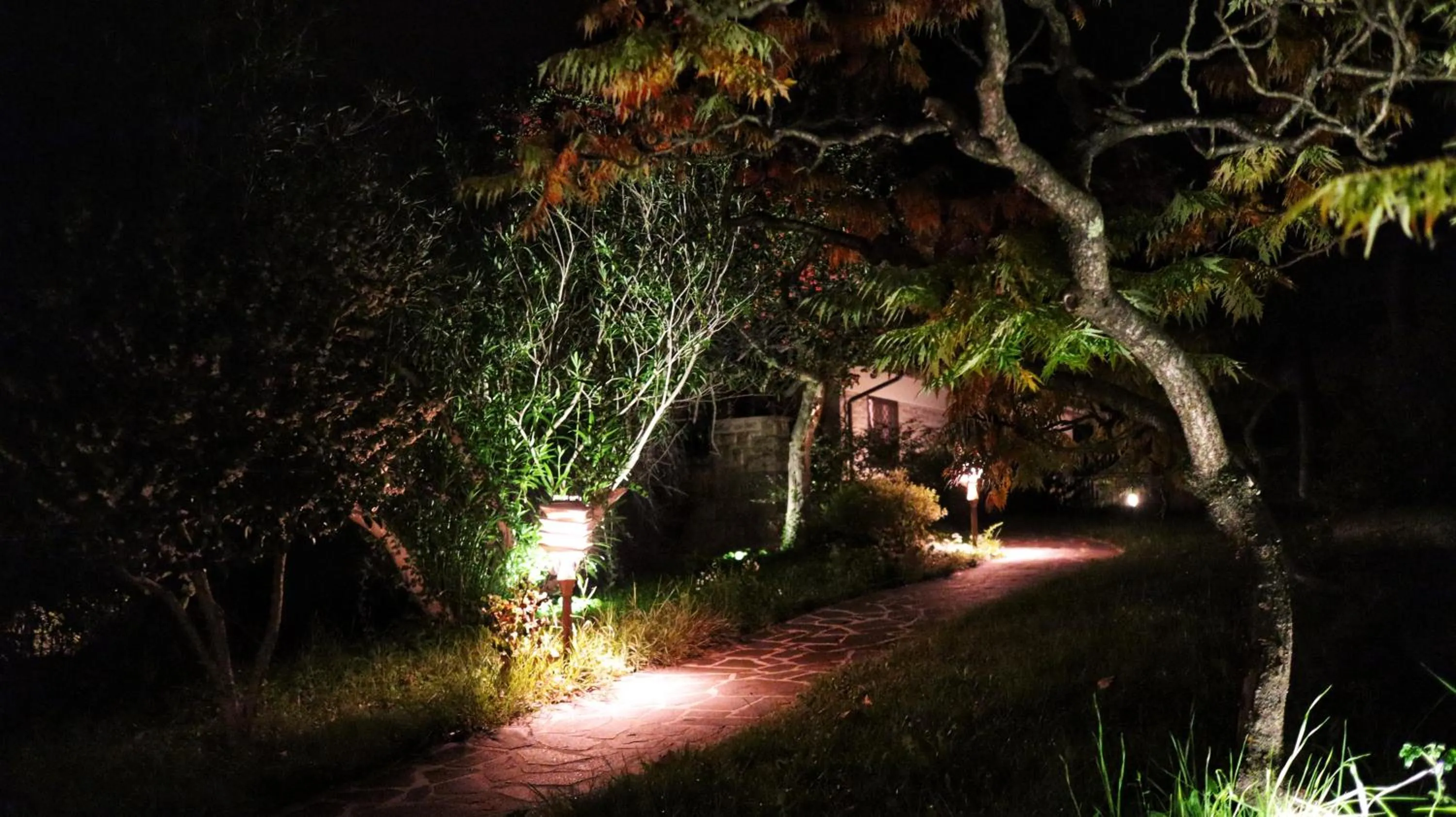 Patio in Villa Clara