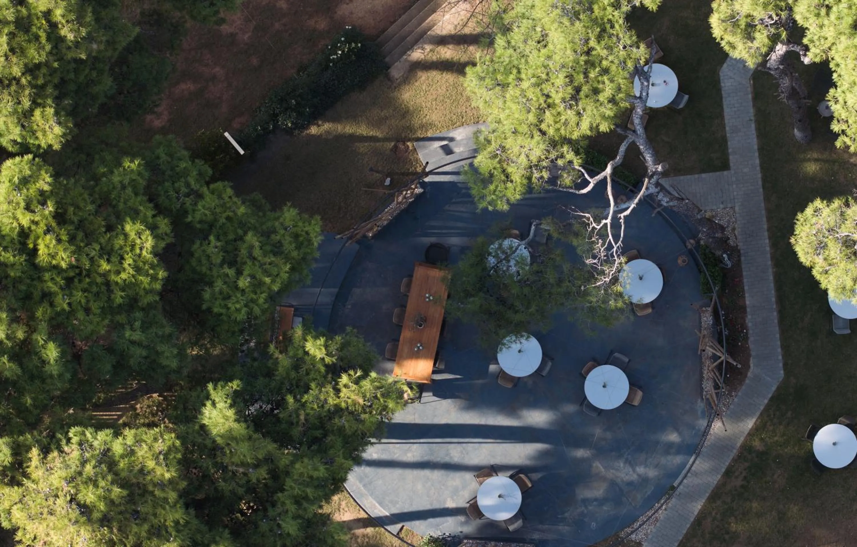 Restaurant/places to eat in Domotel Kastri