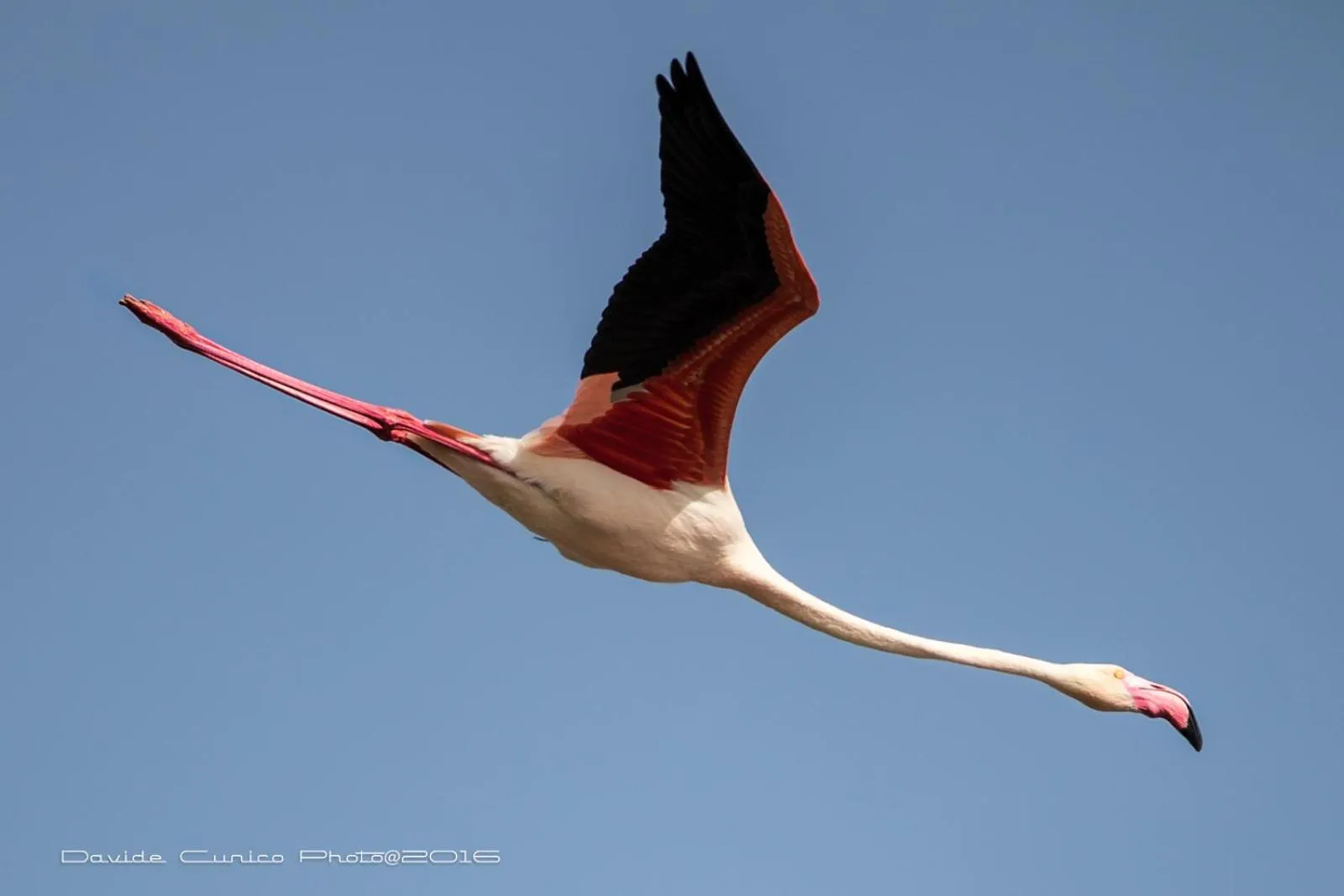 Hotel AeR BJ Vittoria