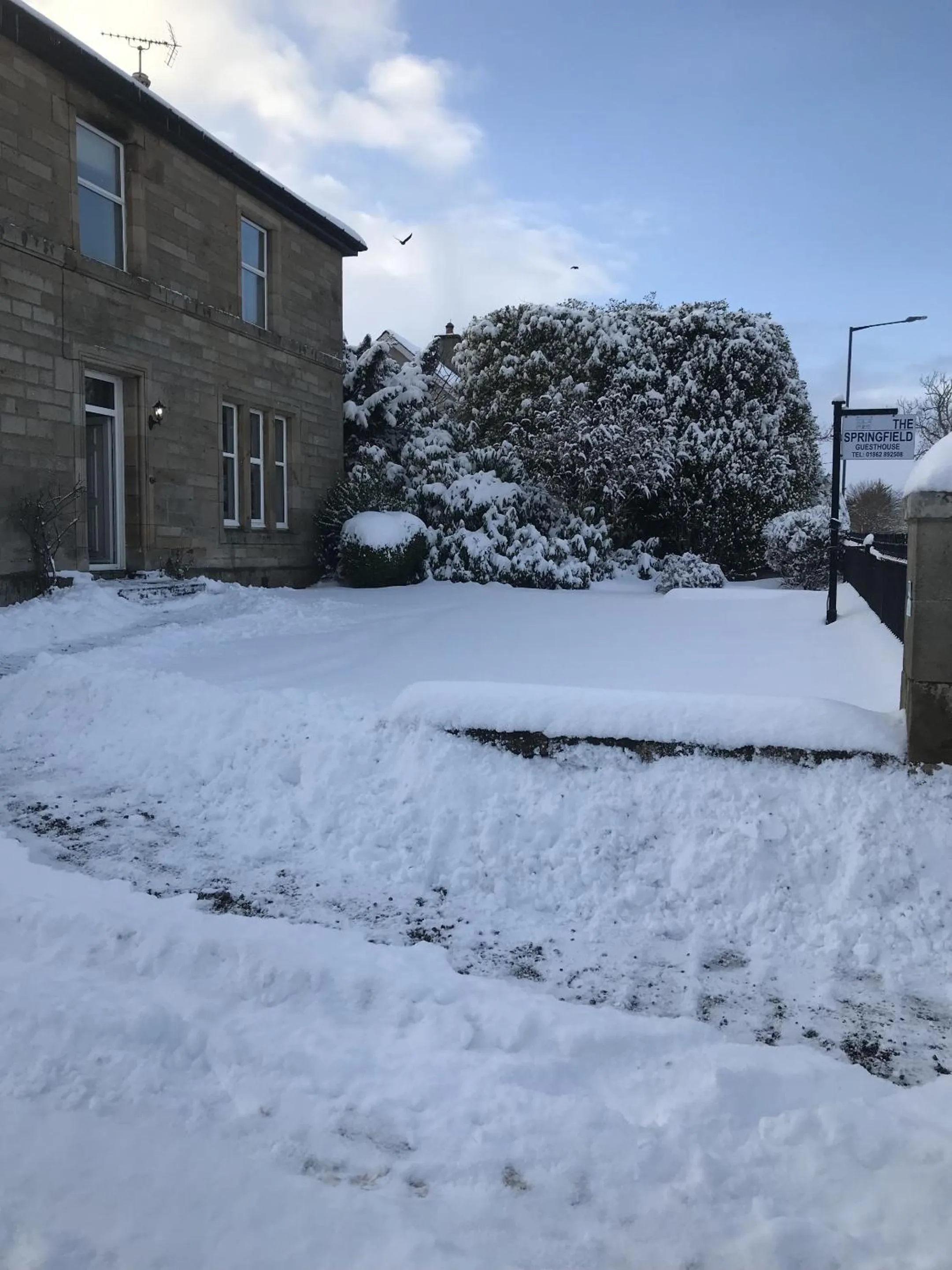 Garden in Springfield guest house