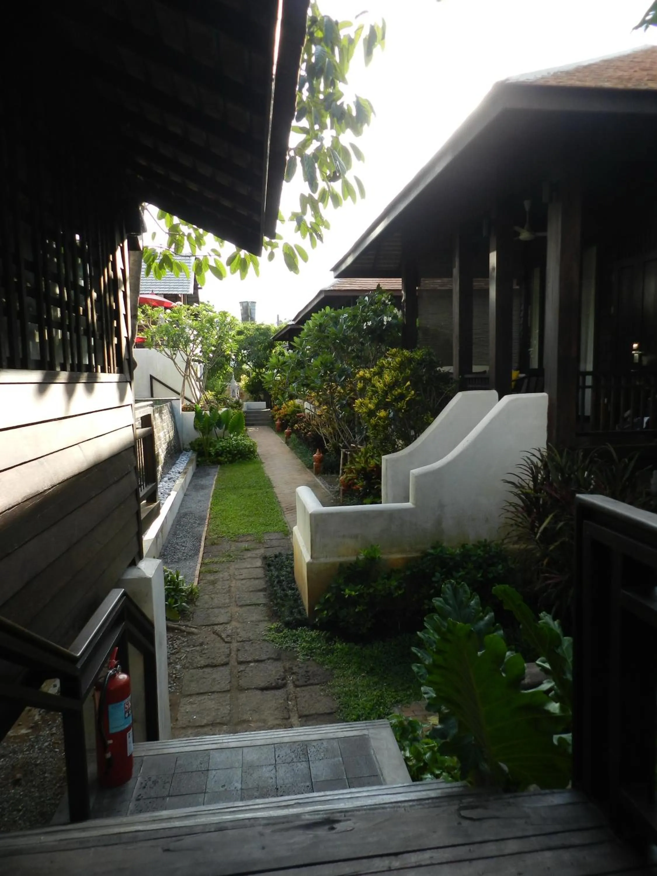 Garden in Baan Saen Fang Chiang Mai