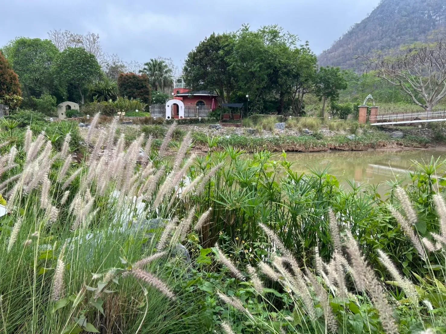 Natural landscape in Ville De La Vie Khao Yai