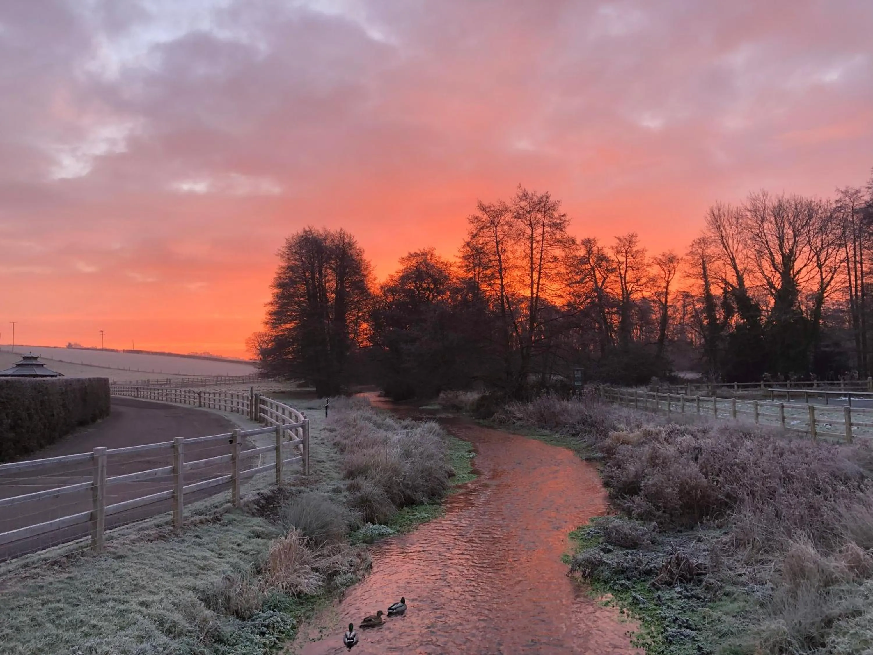 Garden view in Tewinbury Farm Hotel