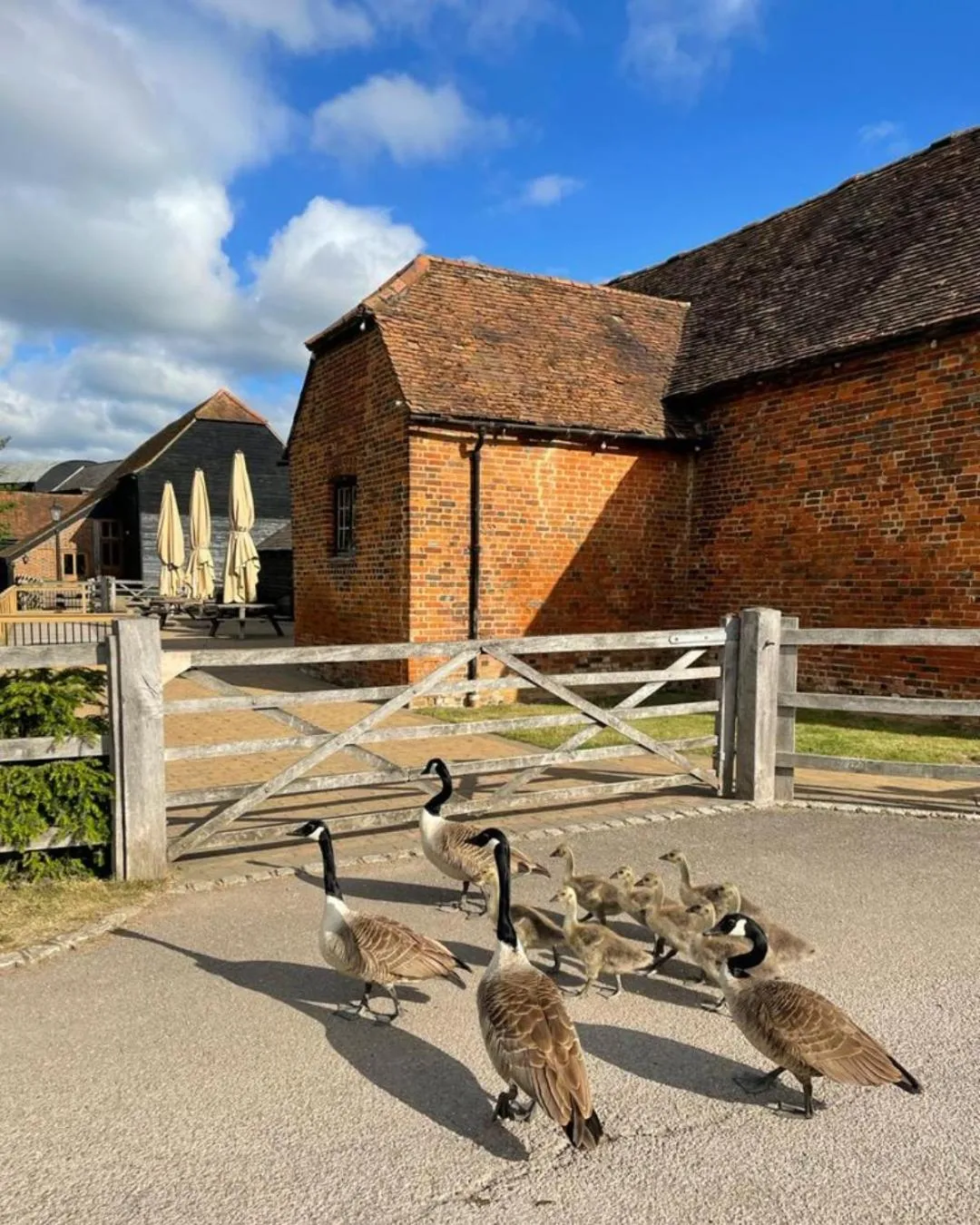 Property building in Tewinbury Farm Hotel