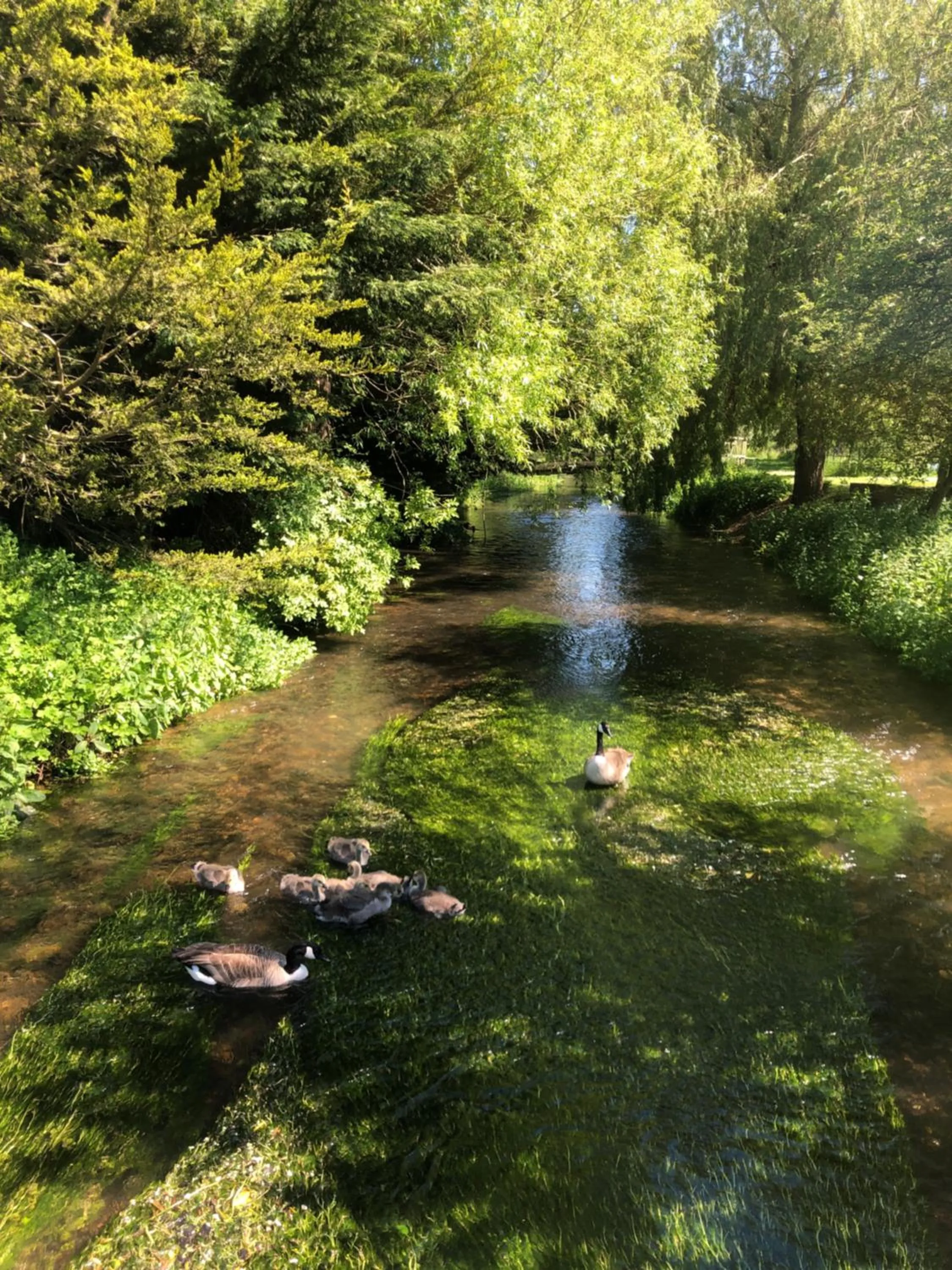 View (from property/room) in Tewinbury Farm Hotel