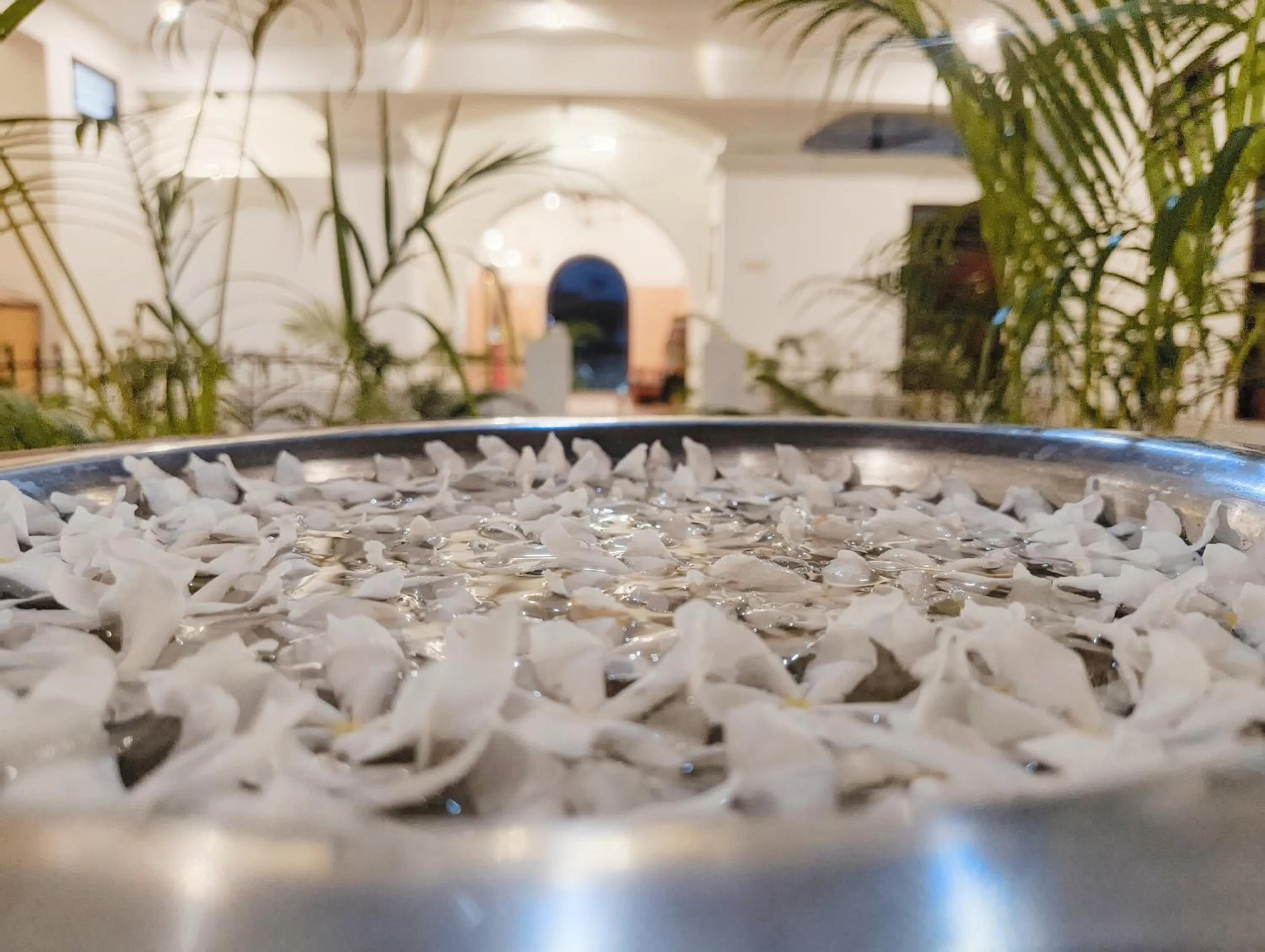 Inner courtyard view in Hare Rama Hare Krishna - EESHA Hotel