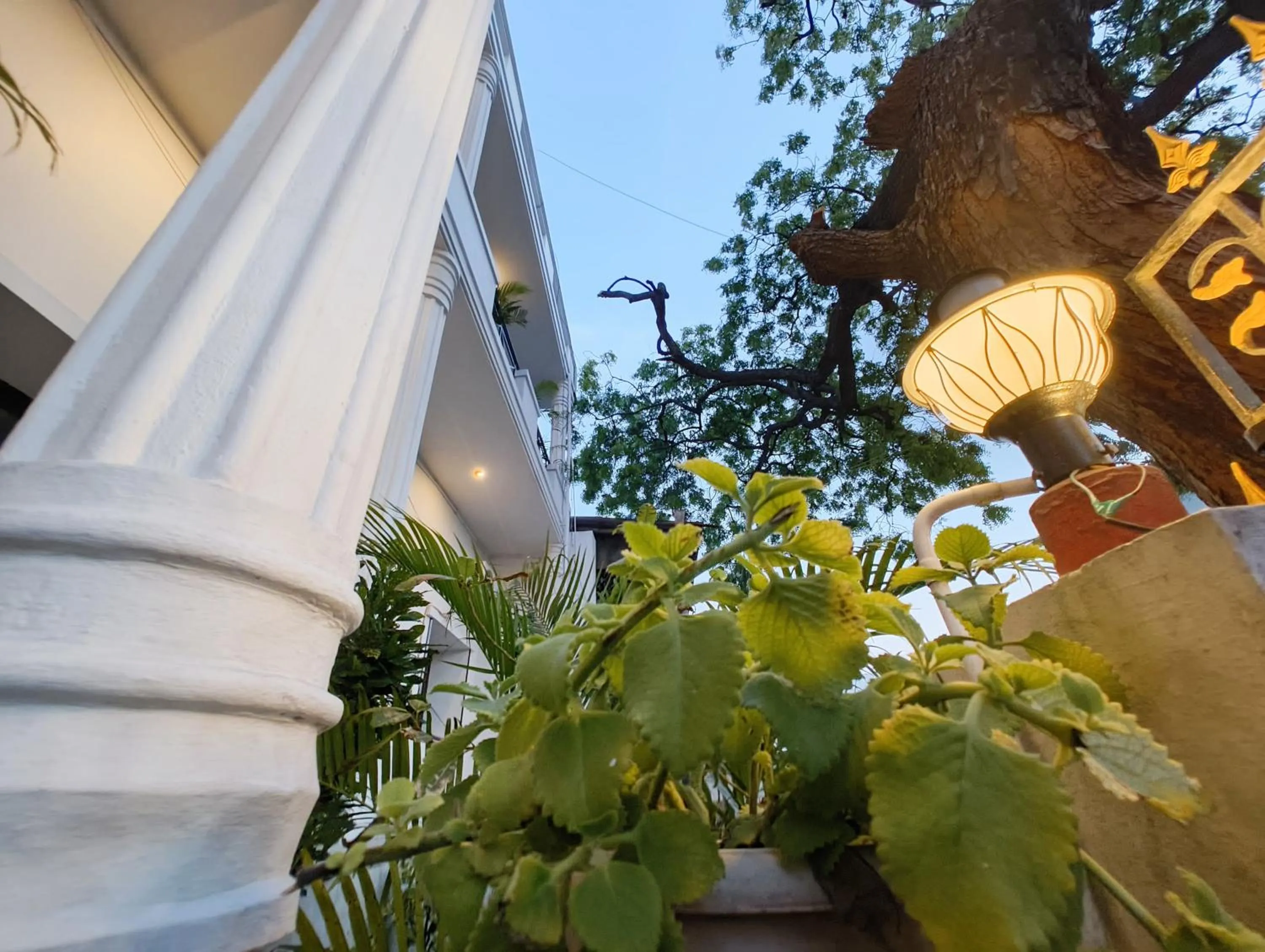 Facade/entrance in Hare Rama Hare Krishna - EESHA Hotel