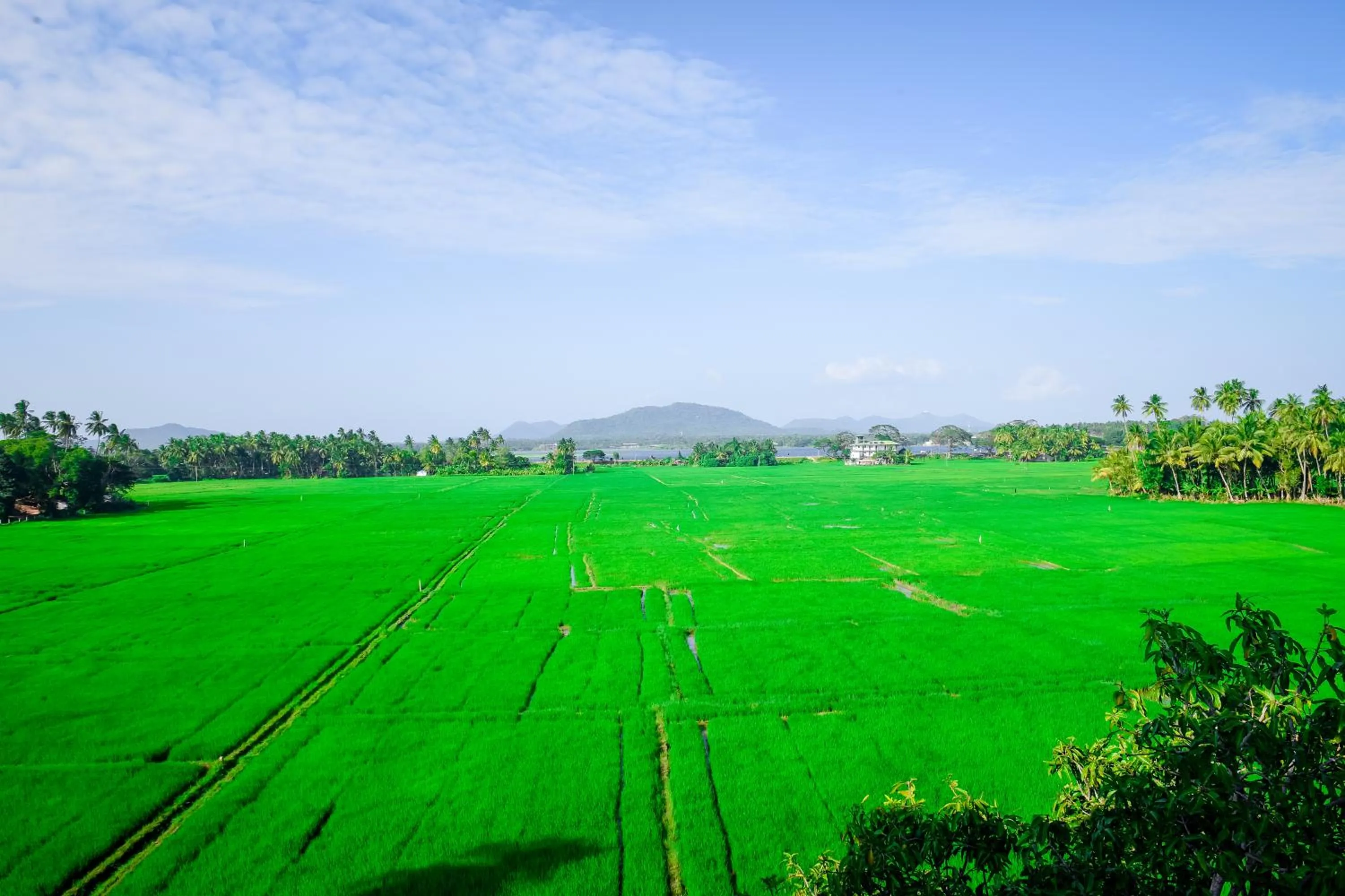 Hotel Mount Valley & Yala Safari