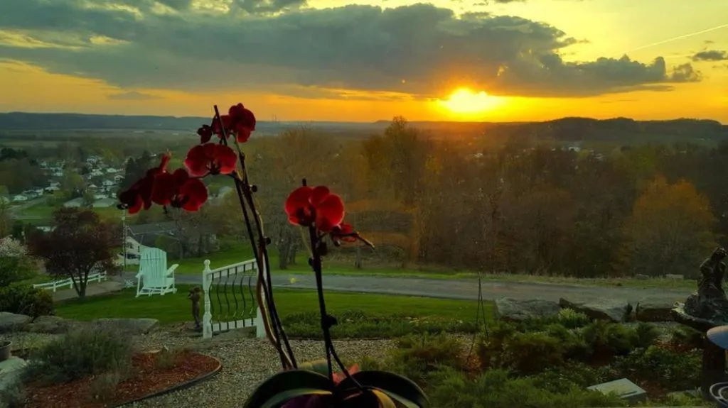 Other in The Inn at Dresden