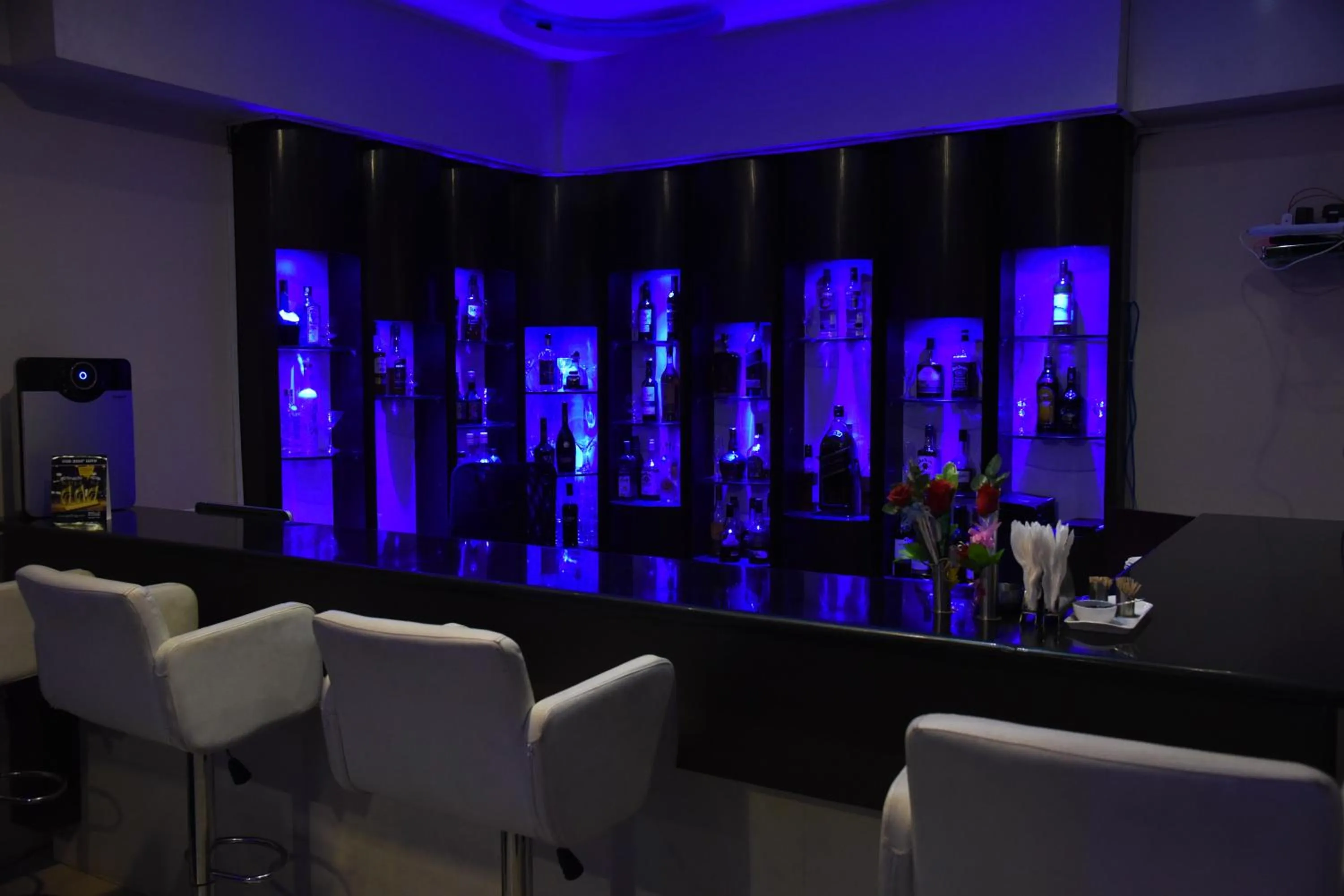 Meals in Hotel Pybss