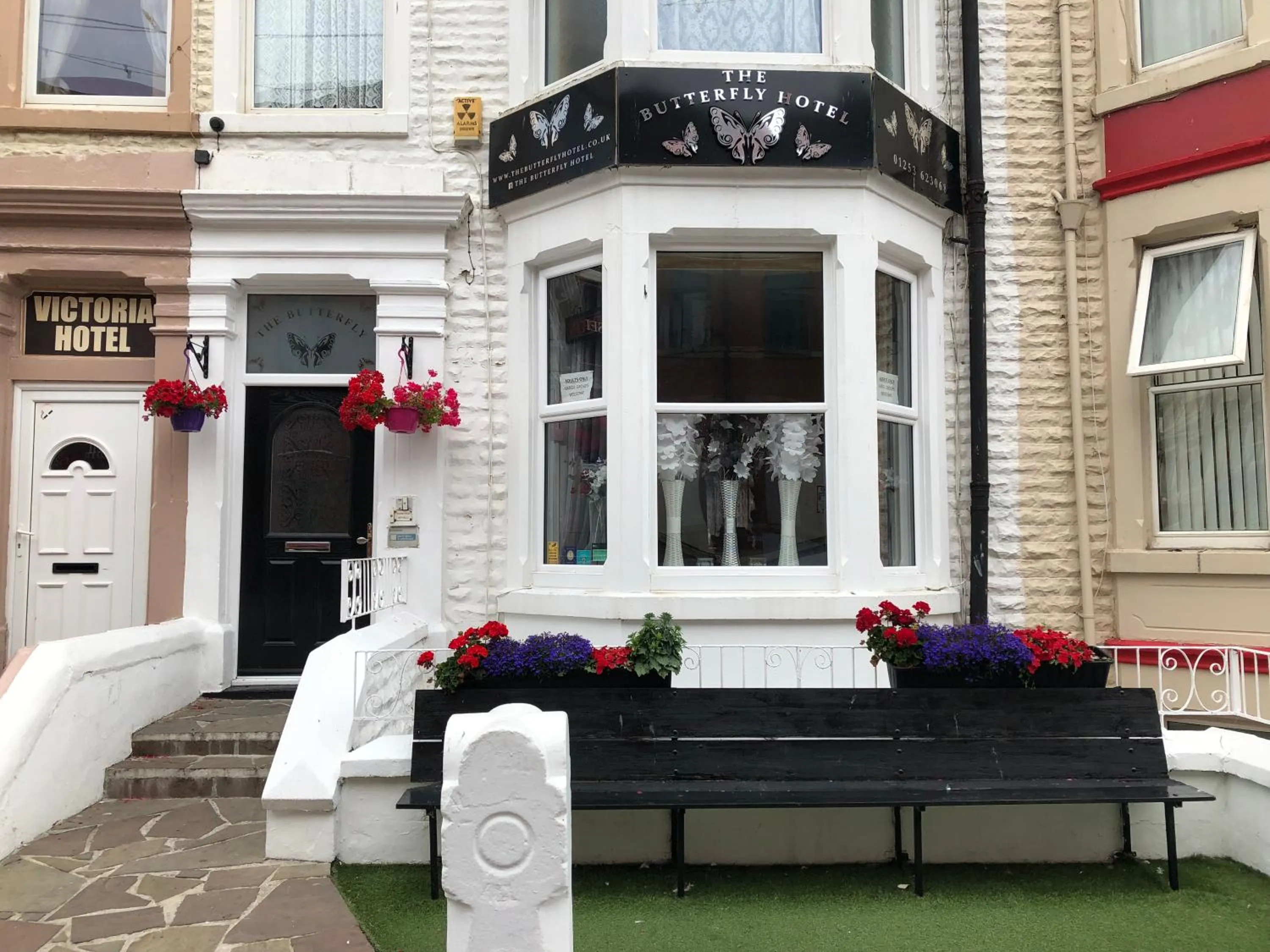Facade/entrance in The Butterfly Hotel