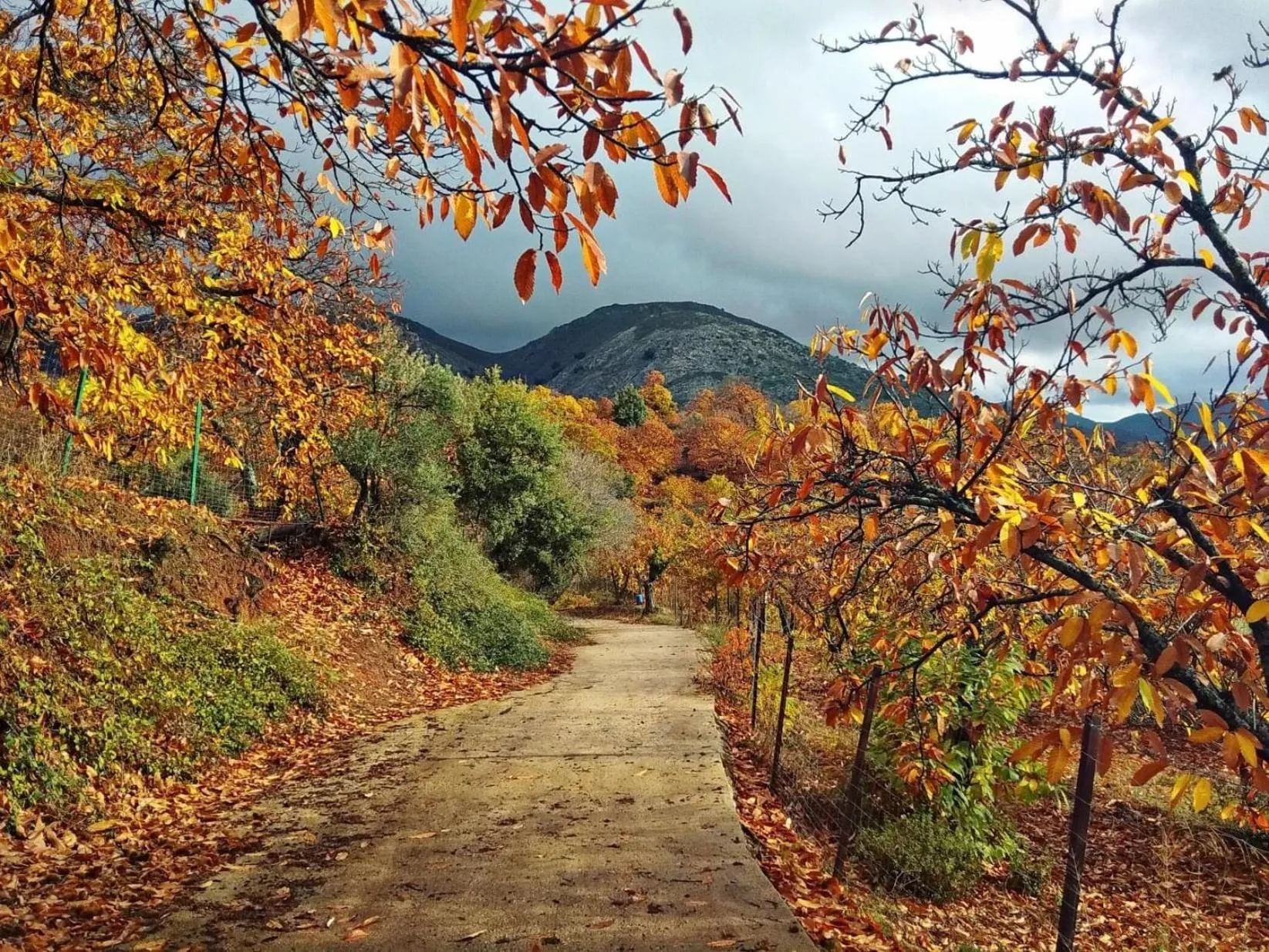 Hiking in Hotel Almejí