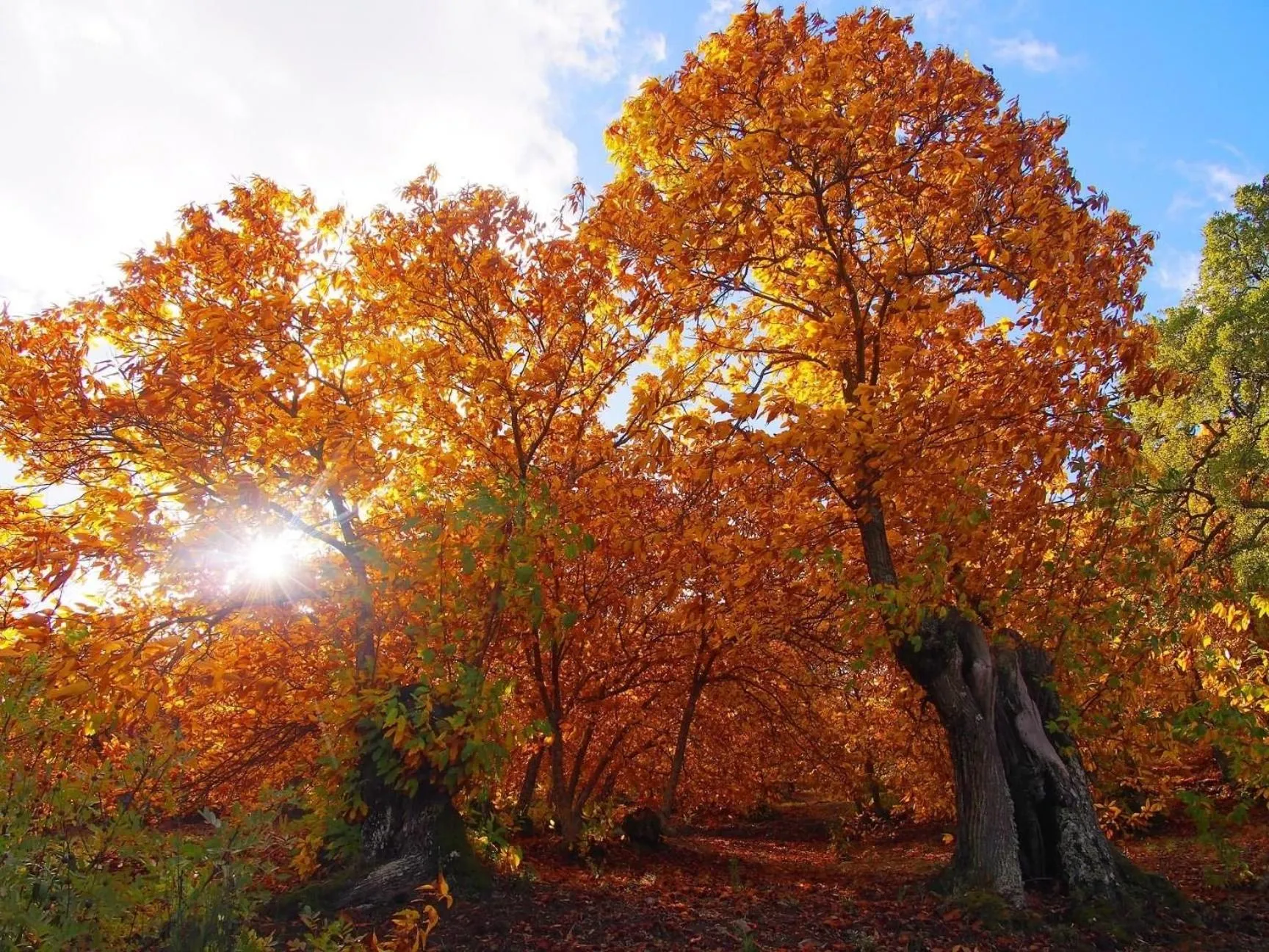 Hiking in Hotel Almejí