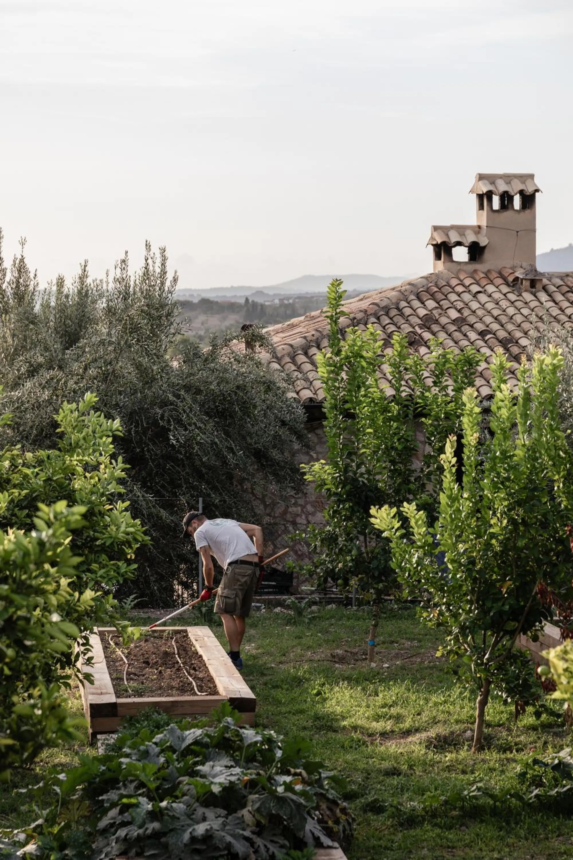 Garden in Ca'n Beneït