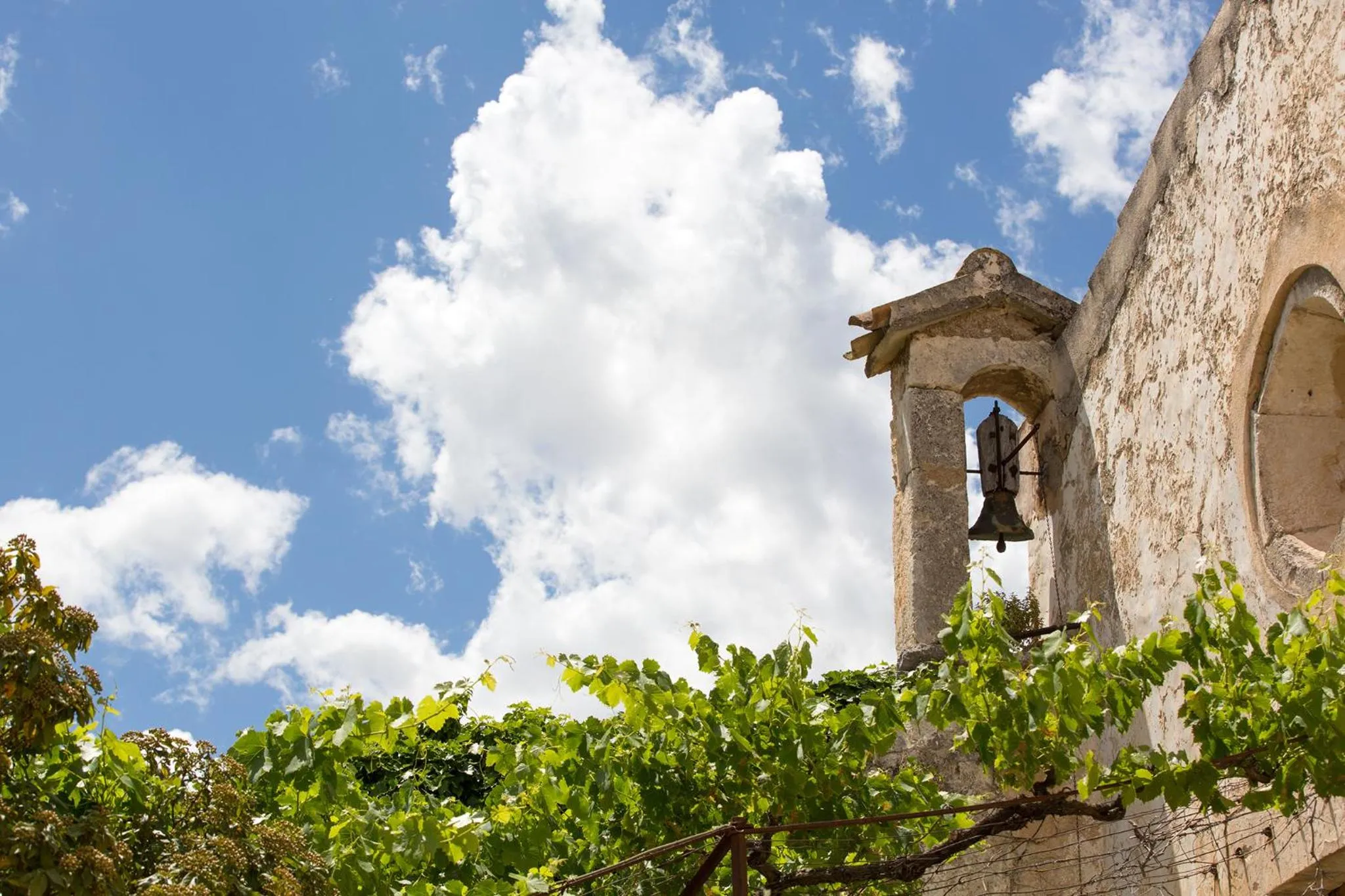 Property building in Ca'n Beneït