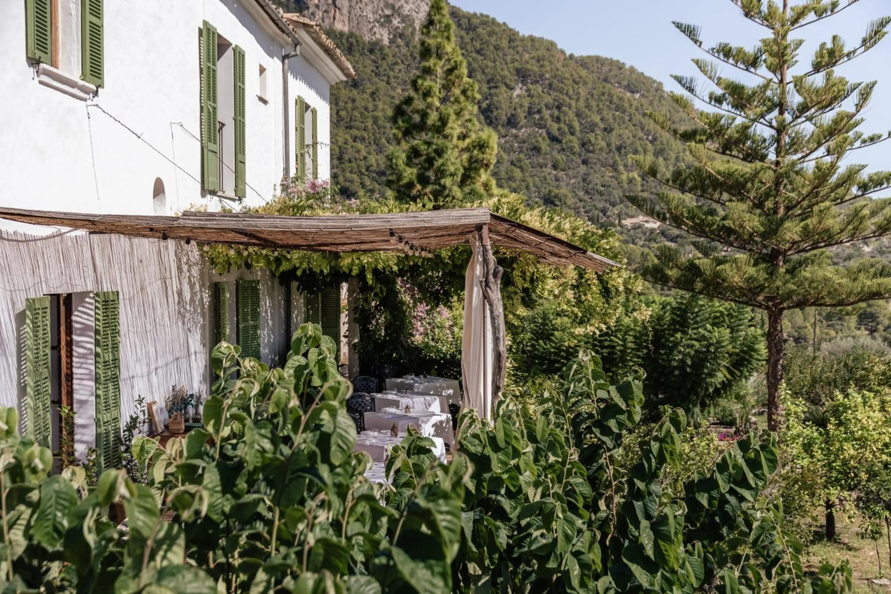 Restaurant/places to eat in Ca'n Beneït