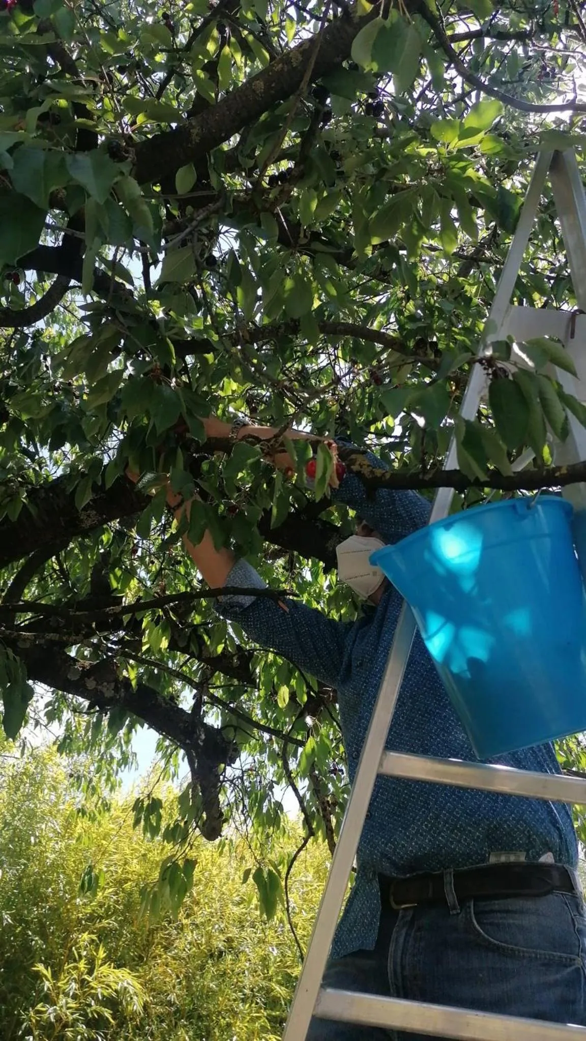 Agriturismo Macchiapiede