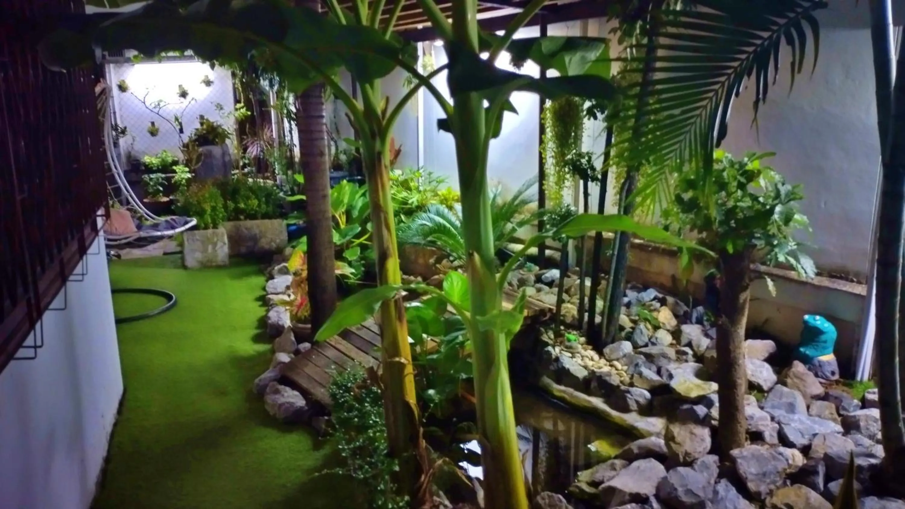Garden in Coconut Palms