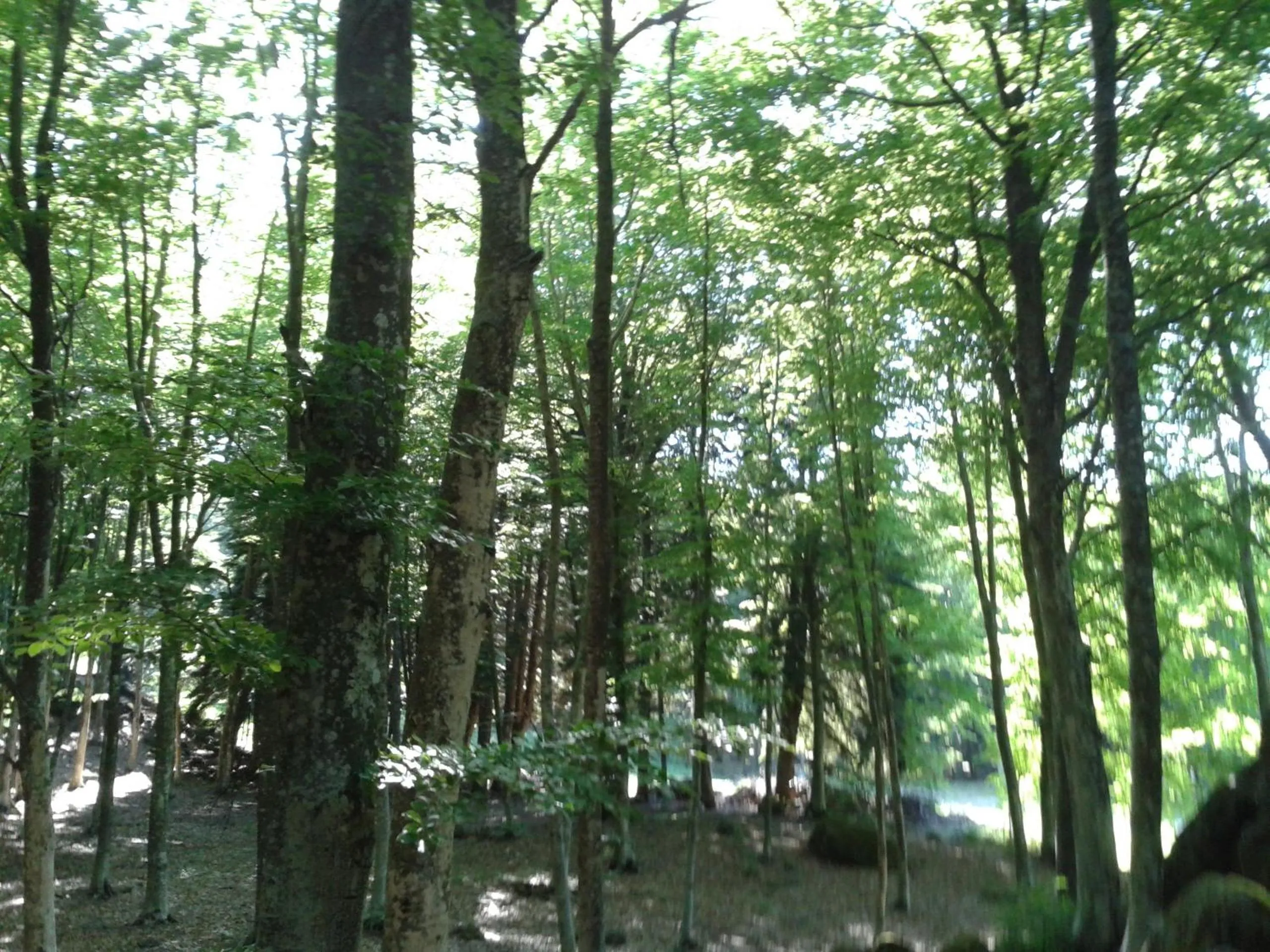 Hotel Italia Abbadia