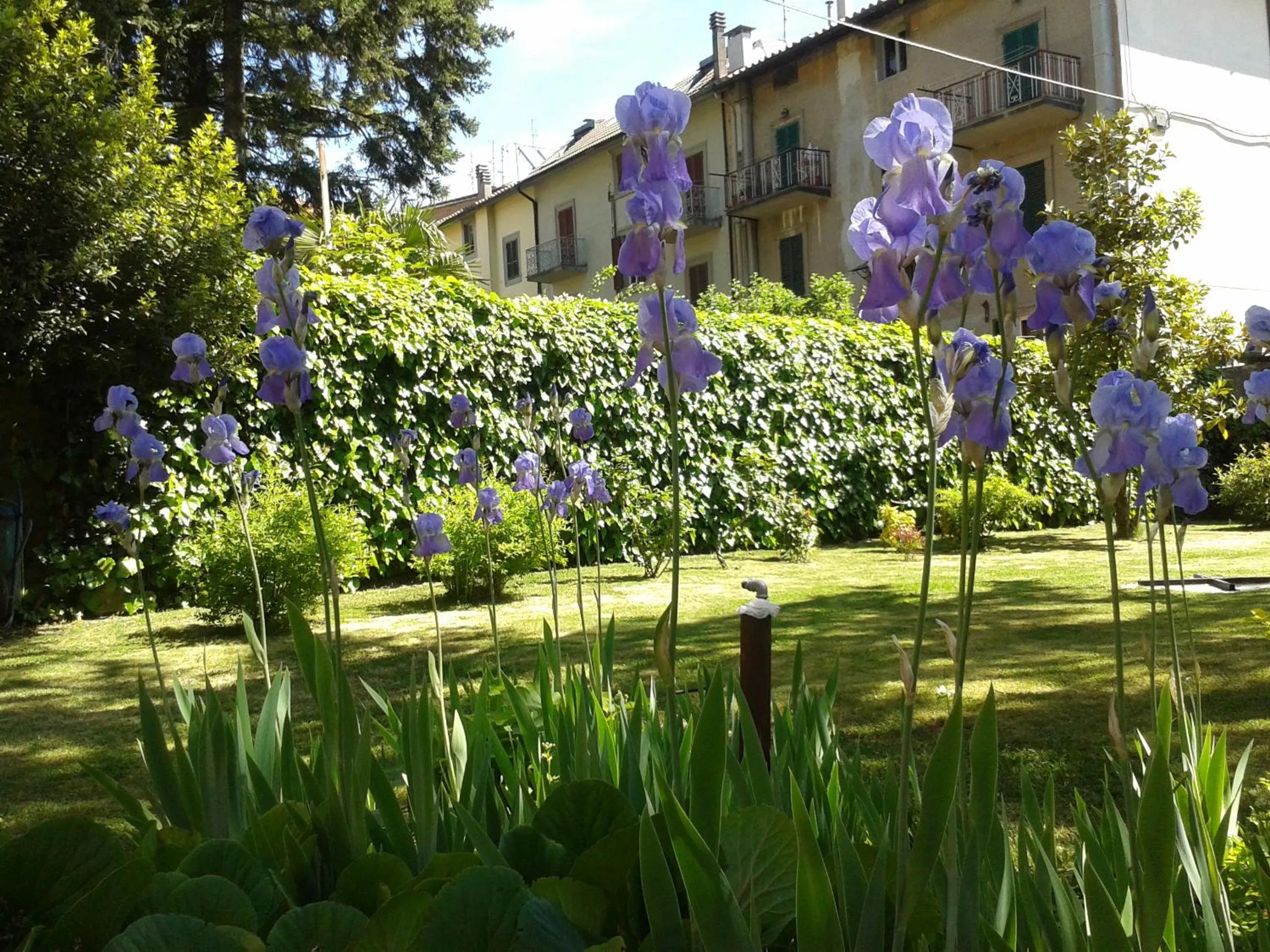 Garden in Hotel Italia Abbadia