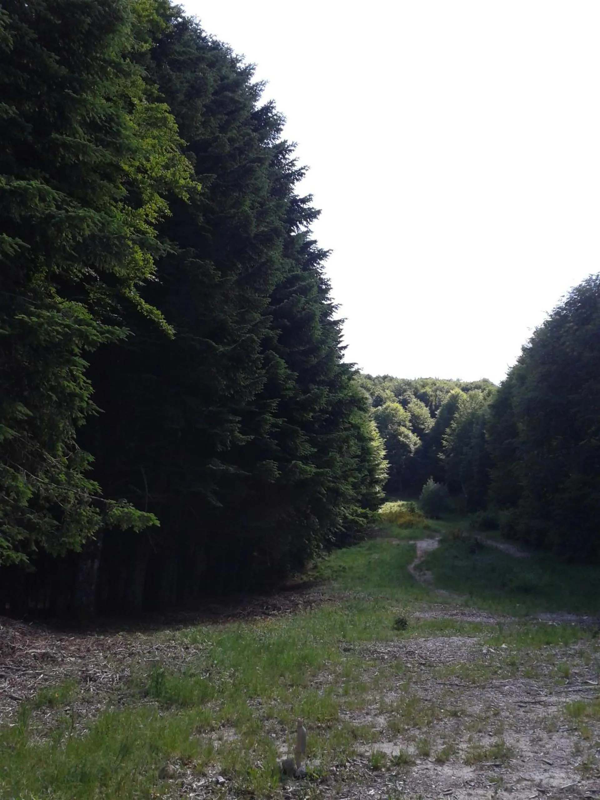 Hotel Italia Abbadia