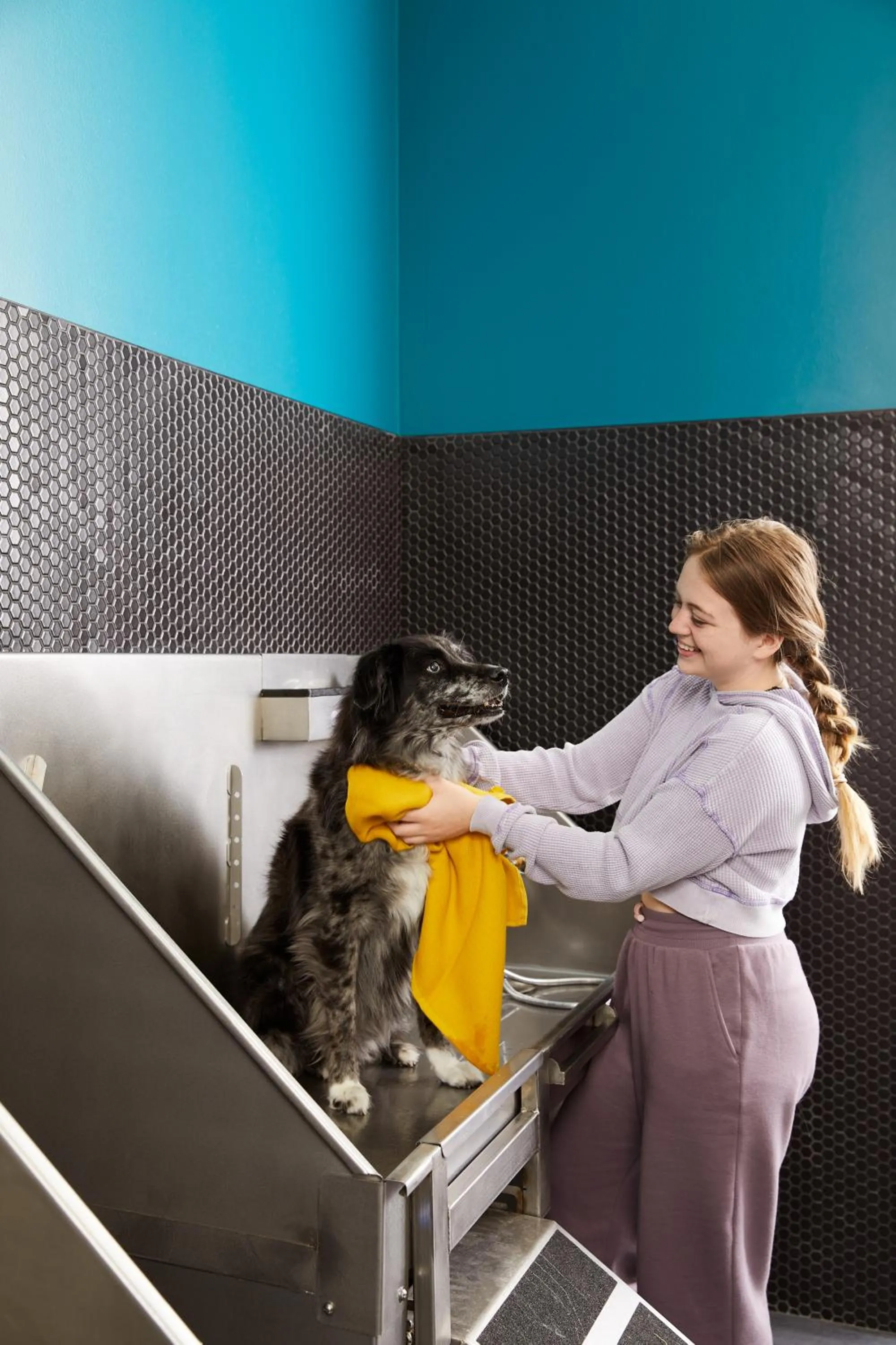 pet friendly in Sentral West Midtown at Star Metals