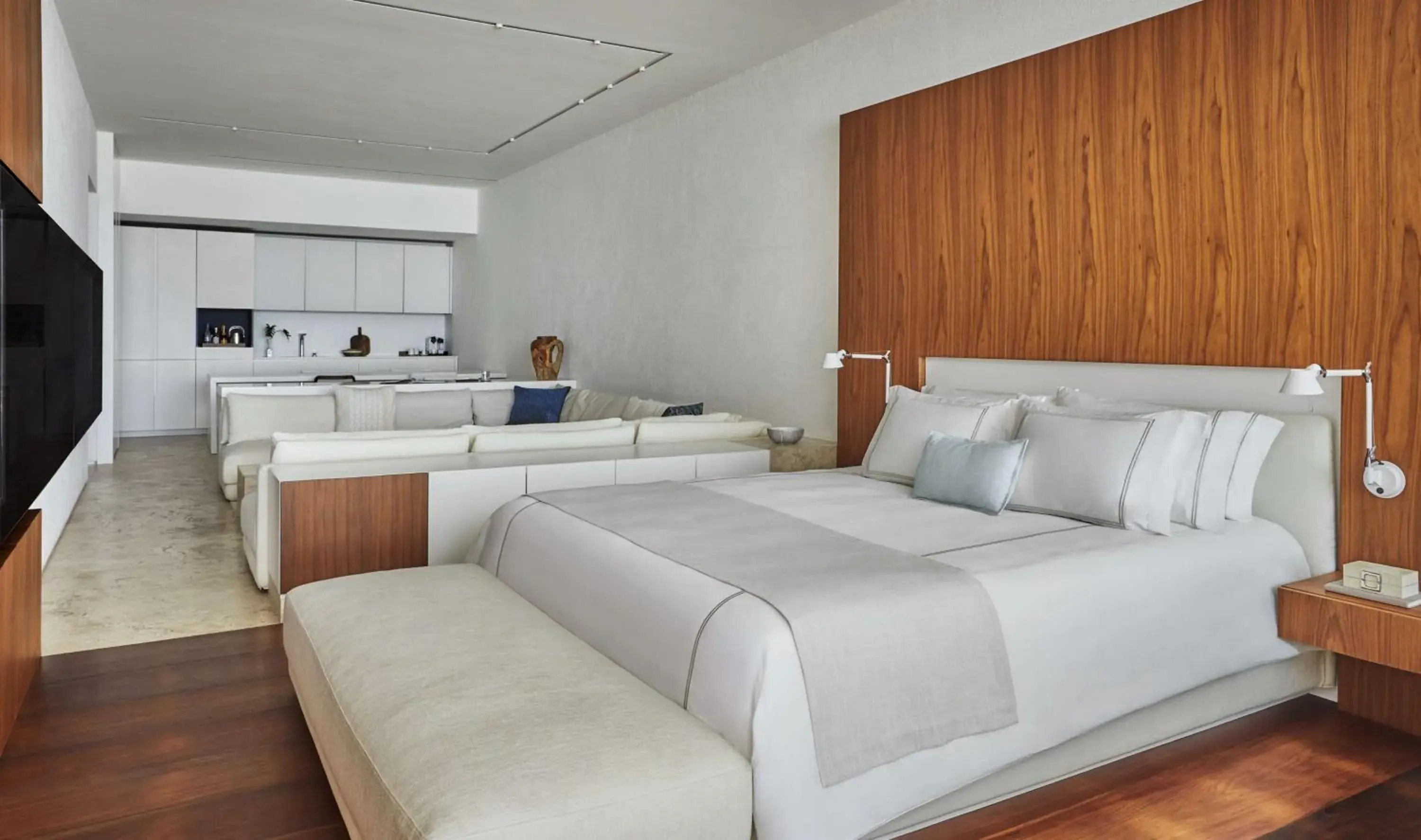 Ocean View Junior Suite with Plunge Pool in Viceroy Los Cabos Ocean View Junior Suite with Plunge Pool in Viceroy Los Cabos